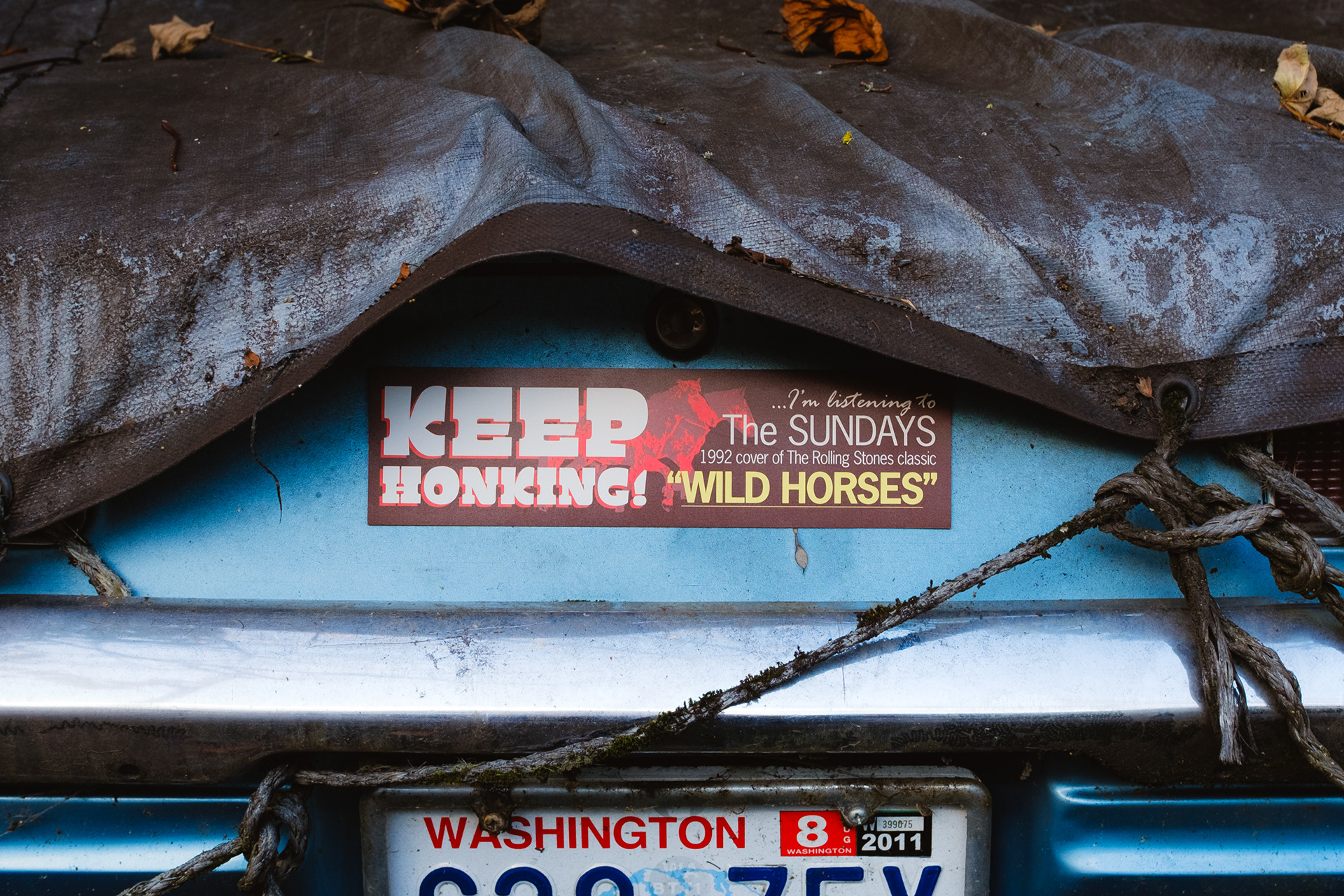 Bumper magnet design