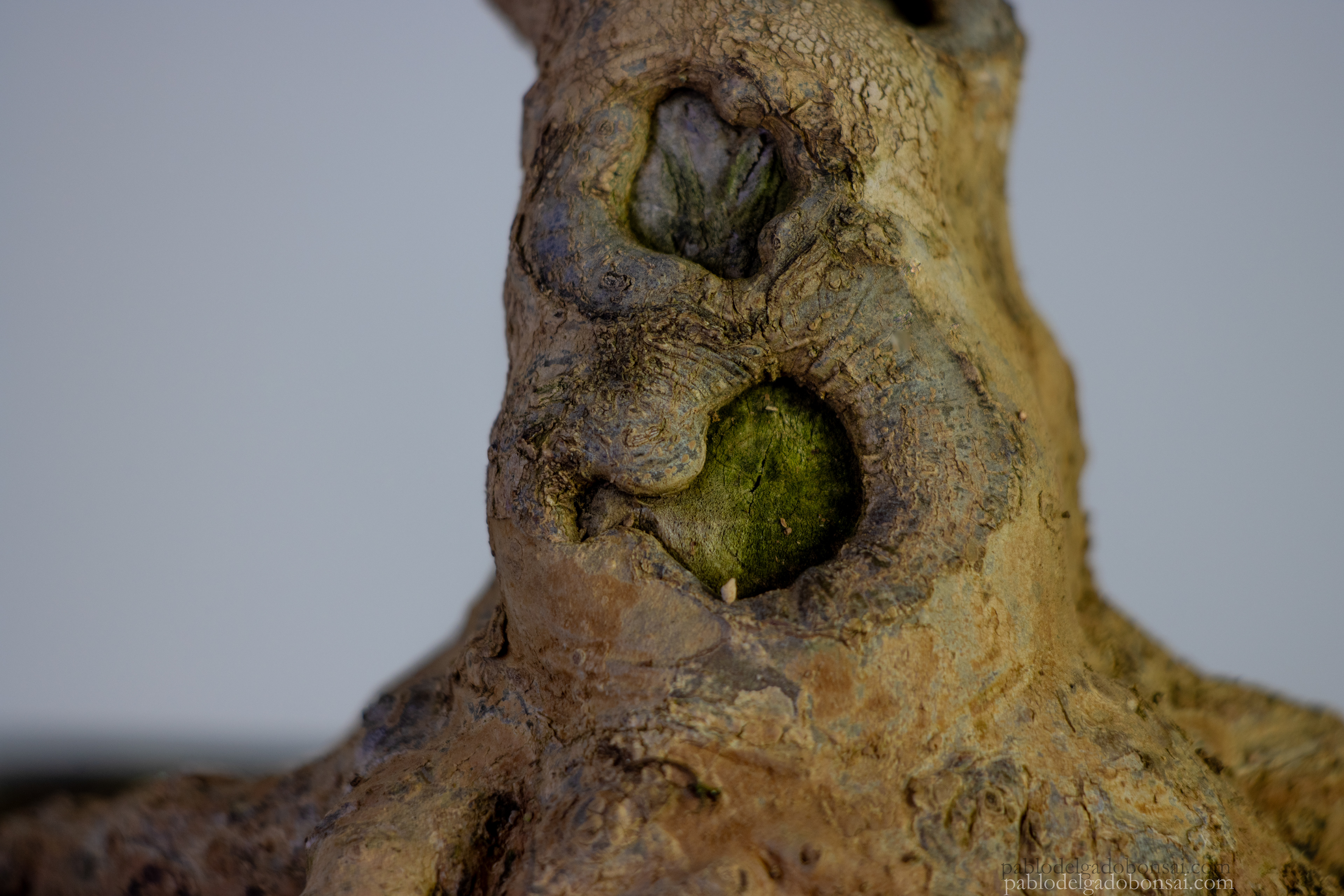 Poco a poco las grandes cicatrices van cerrando...