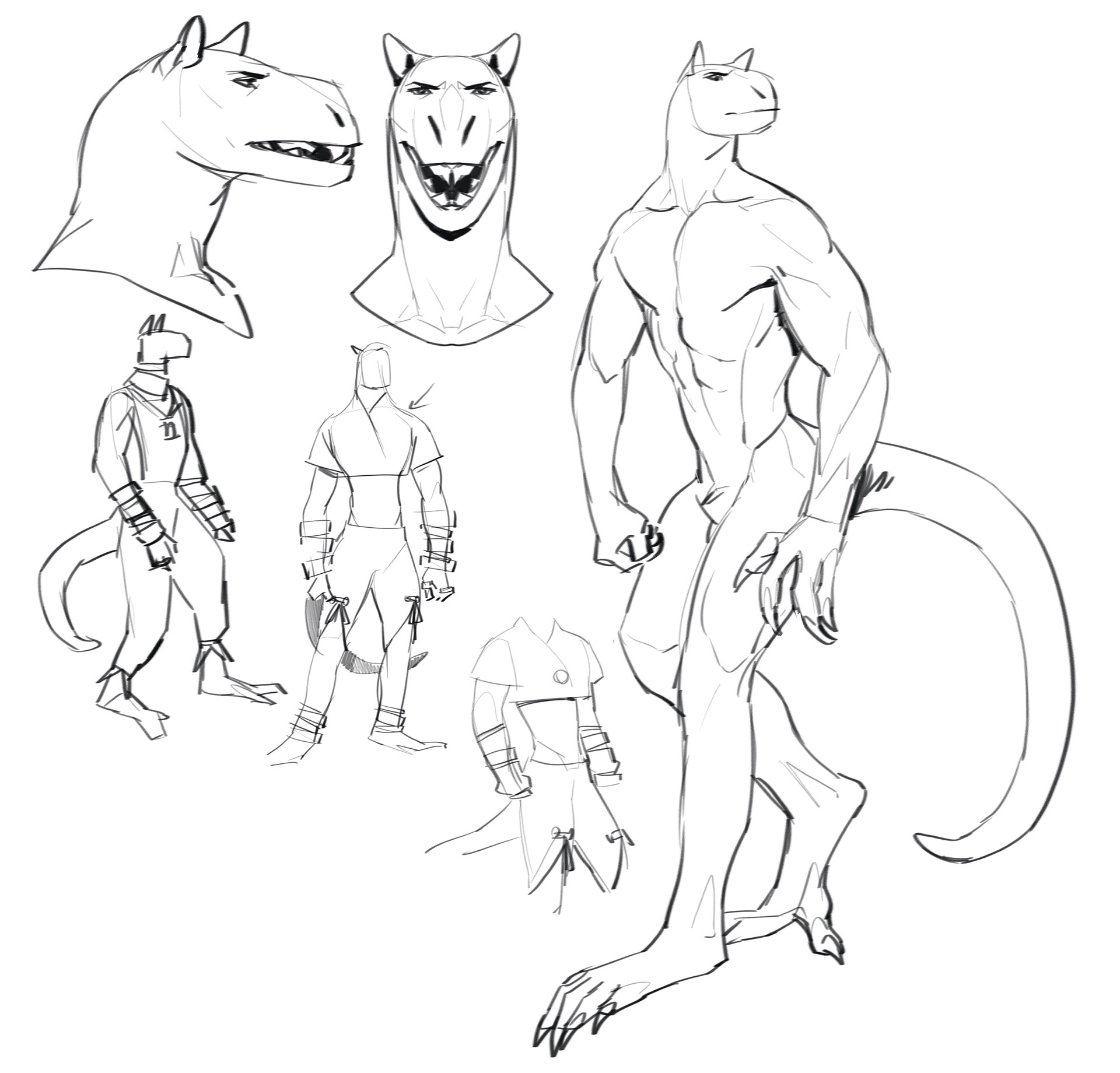 Final idea