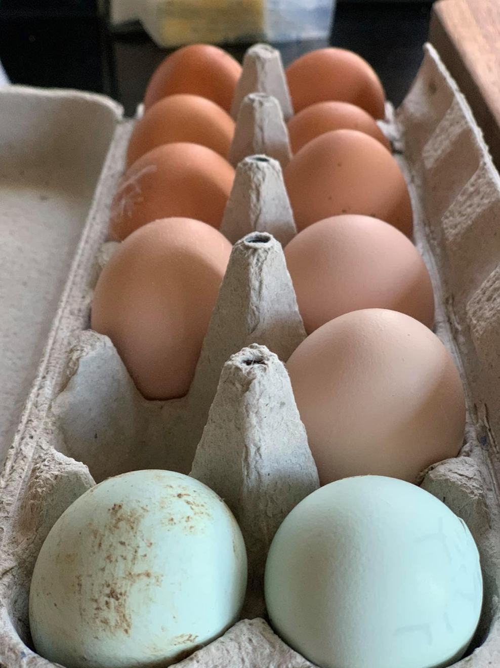 Purchase farm fresh eggs at "Horns and Hens Farm a few minutes away. Info on "play" page.