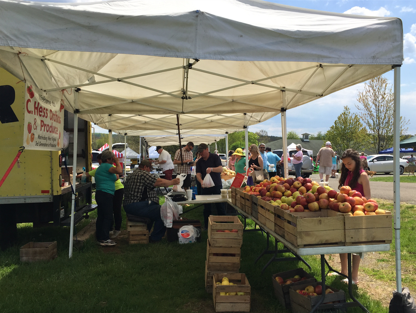 Every Sunday the farmers market is open in The Plains during the warmer months.