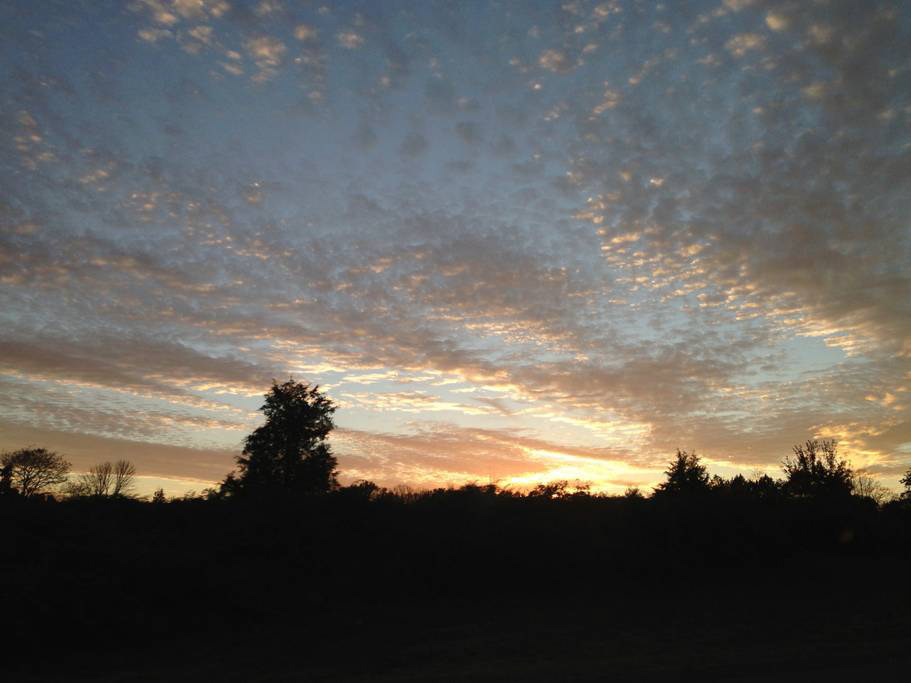 A Piedmont sunset from the back yard.