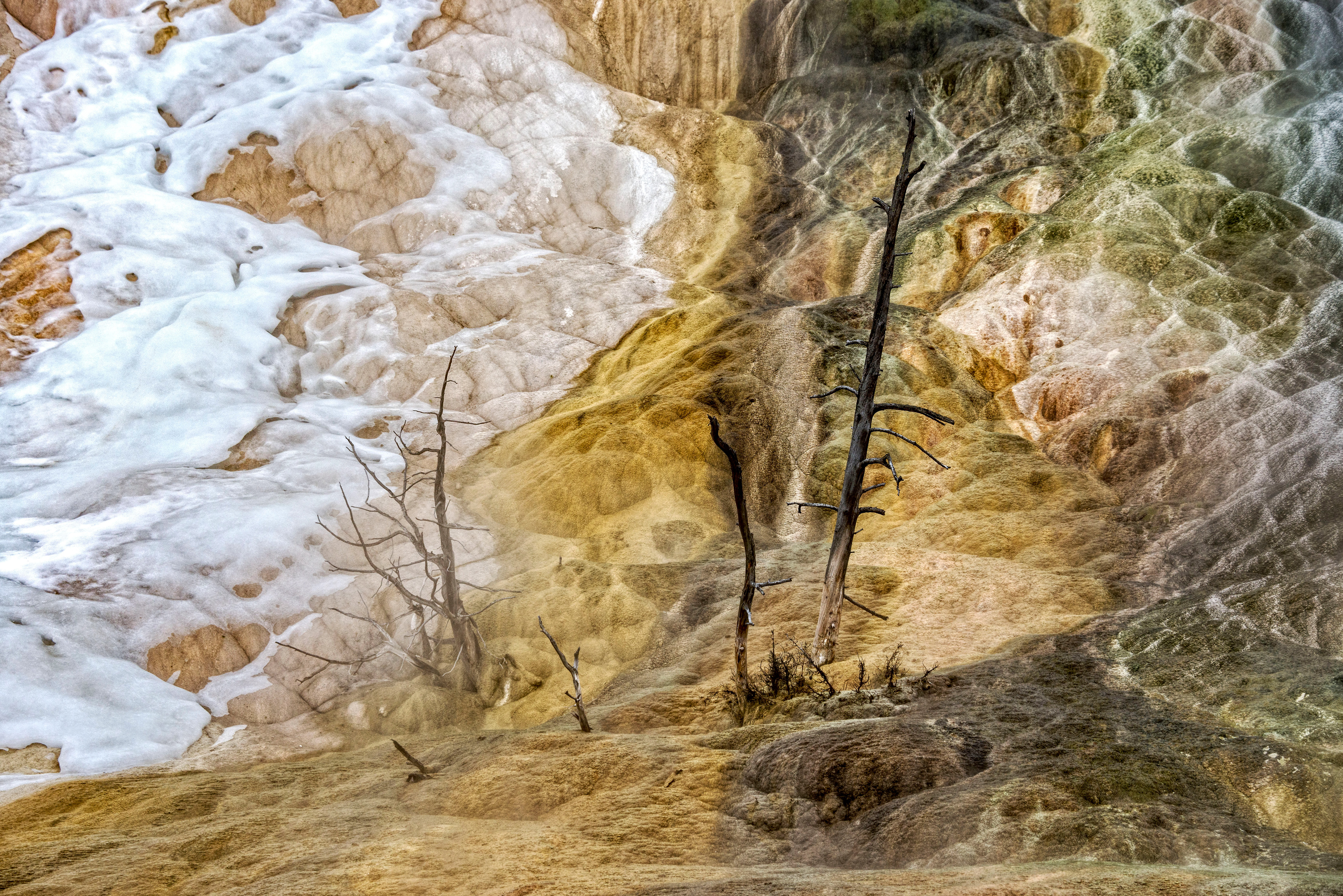 Mammoth hot springs -Yellowstone