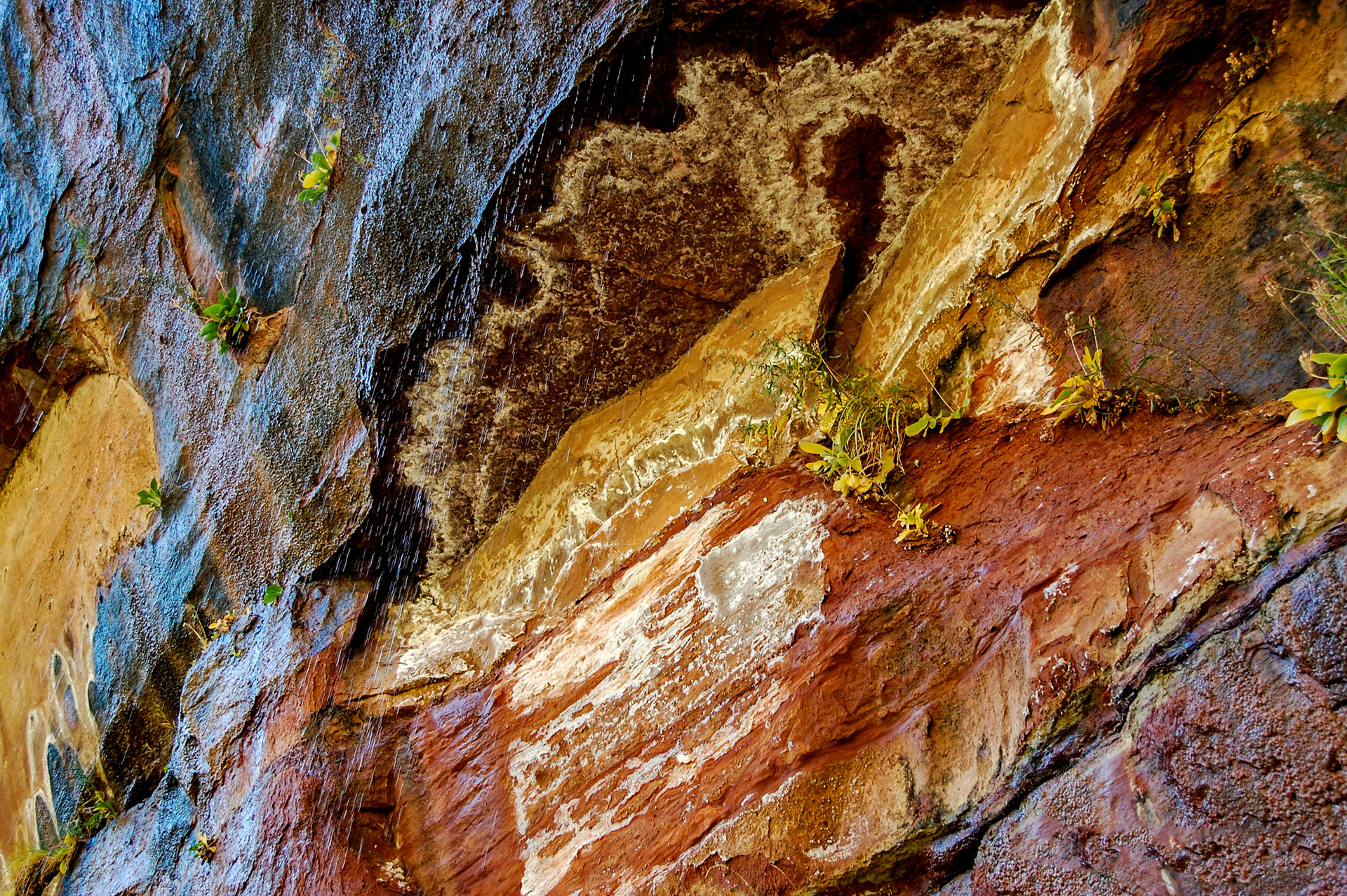 Zion National Park