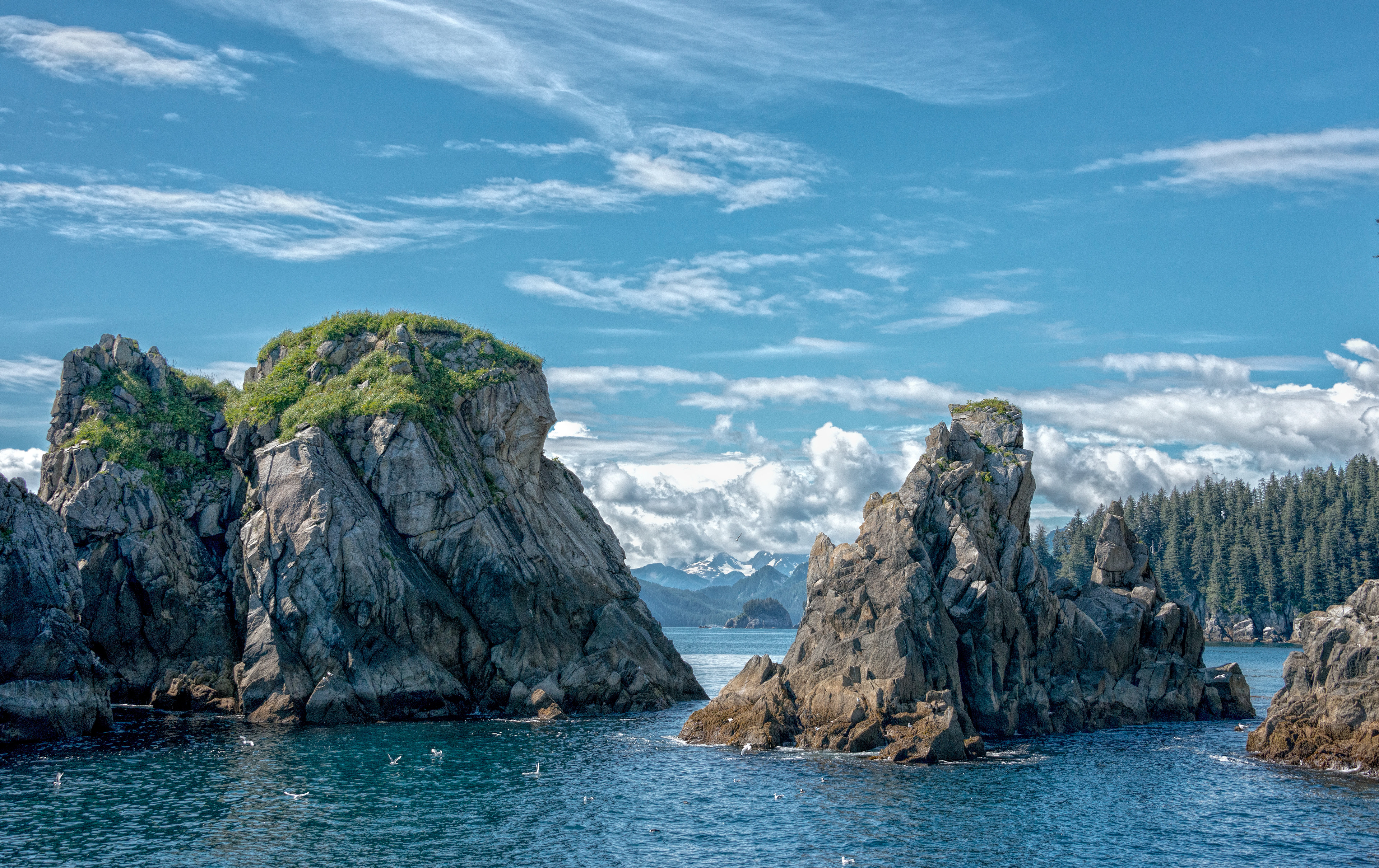 Kenai Fjords -Alaska
