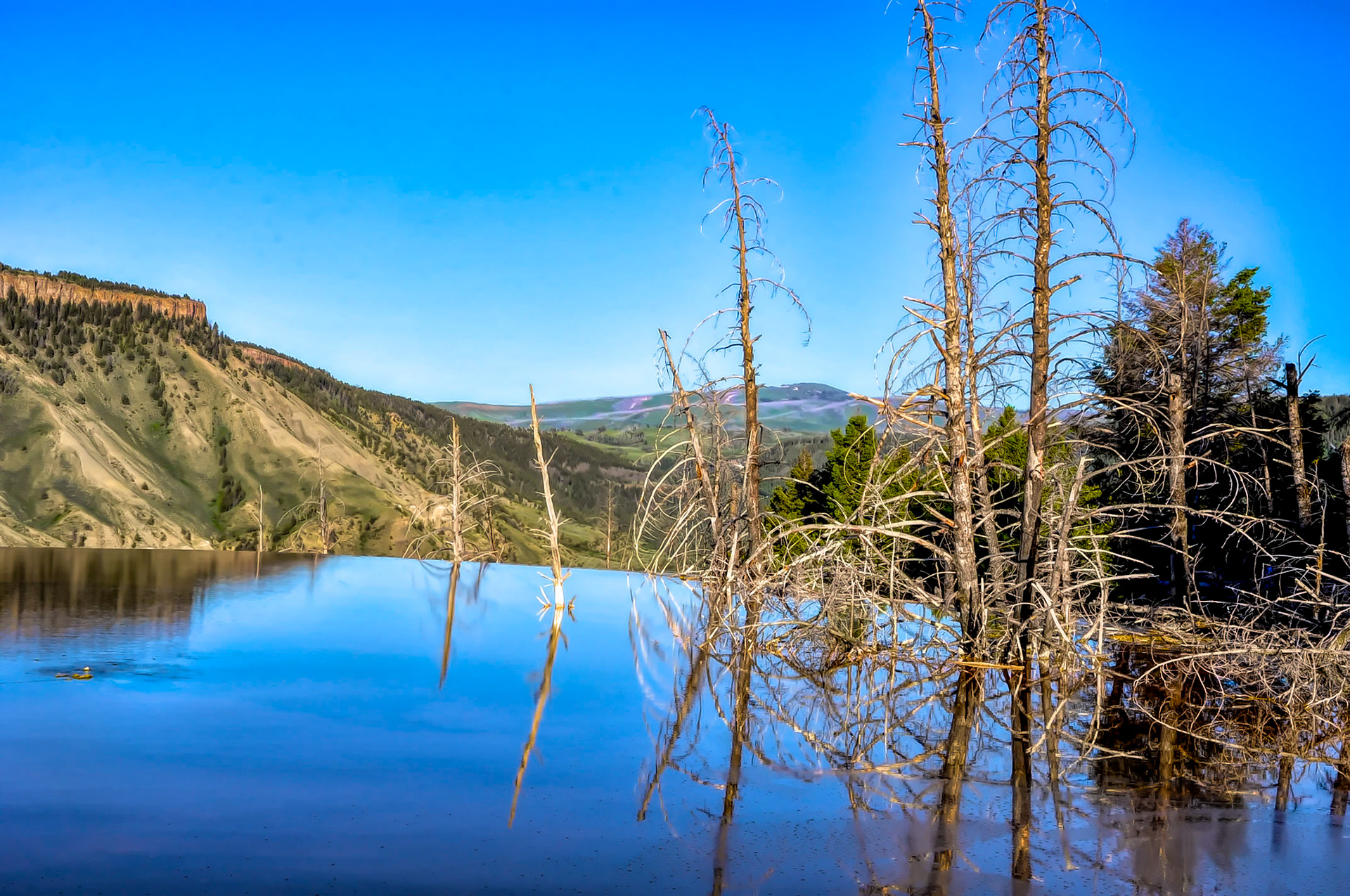 Mammoth hot springs -Yellowstone