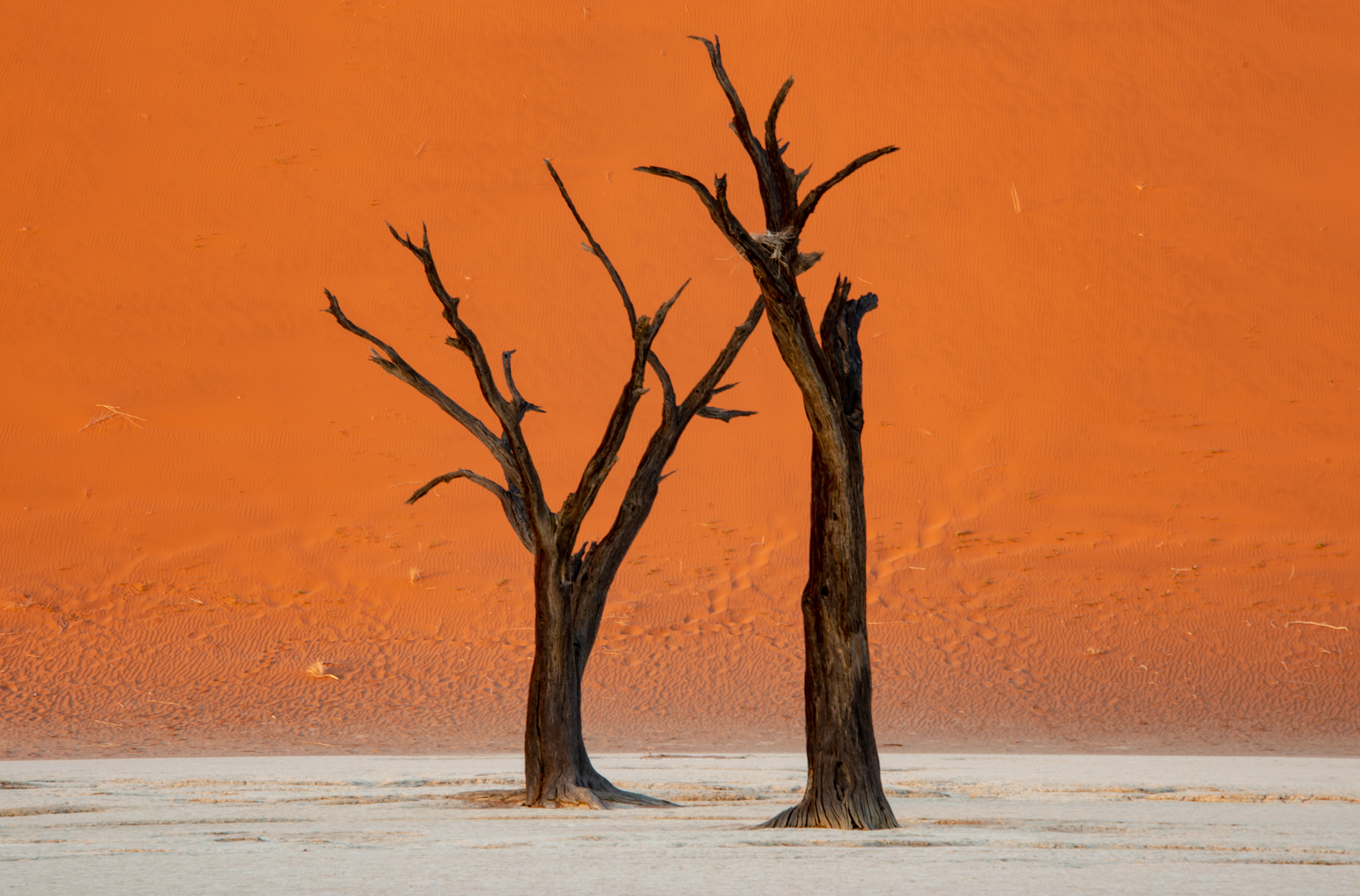 Deadvlei Namibia