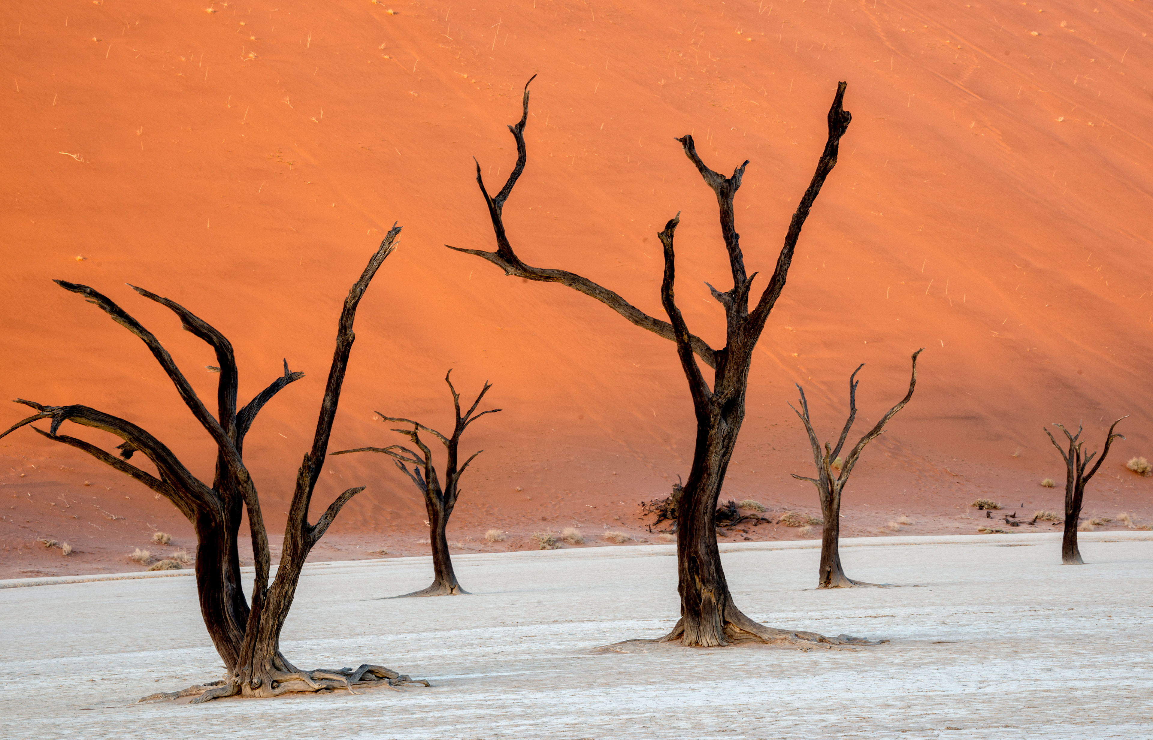 Deadvlei Namibia