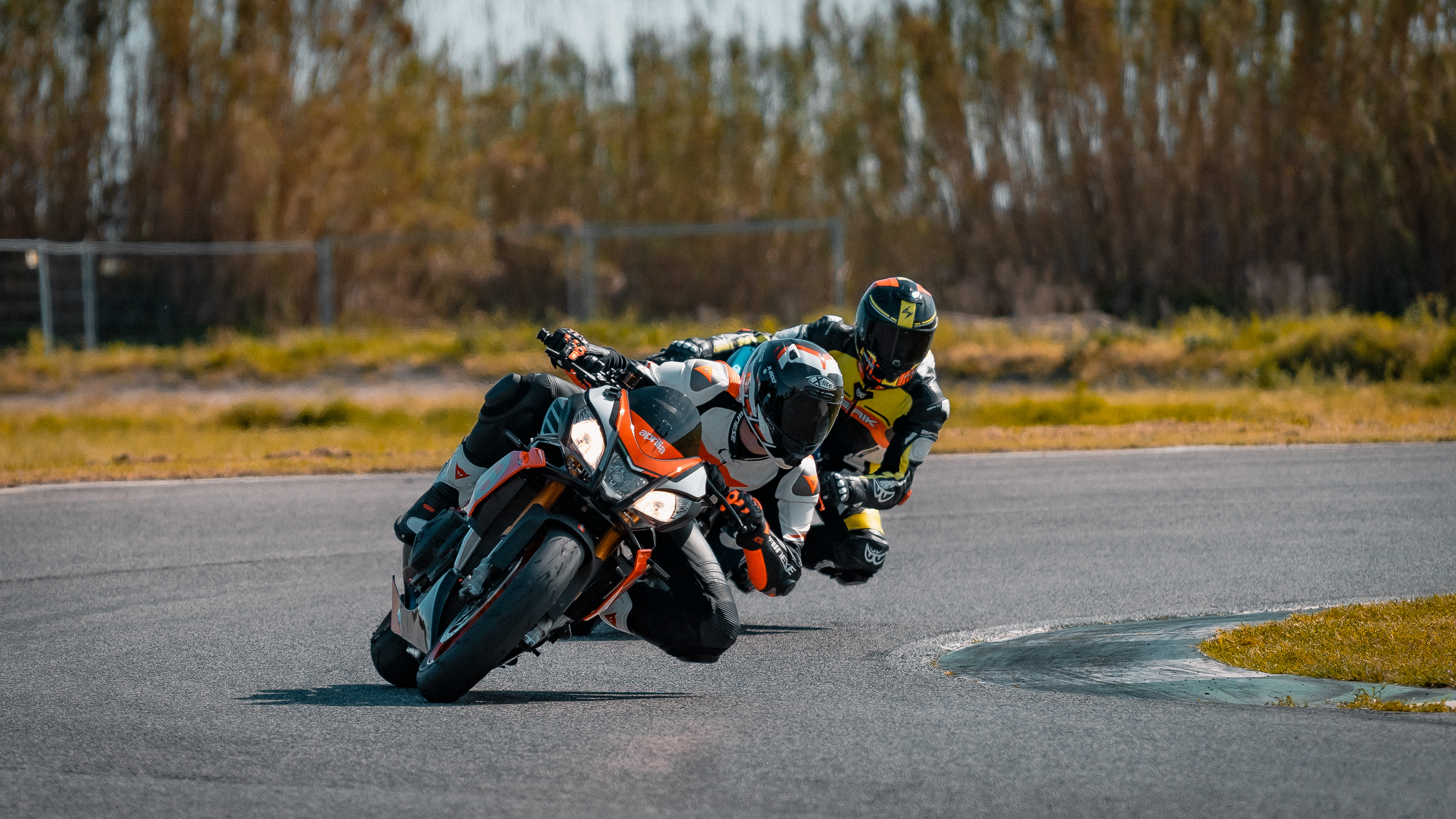 Circuito di Pomposa