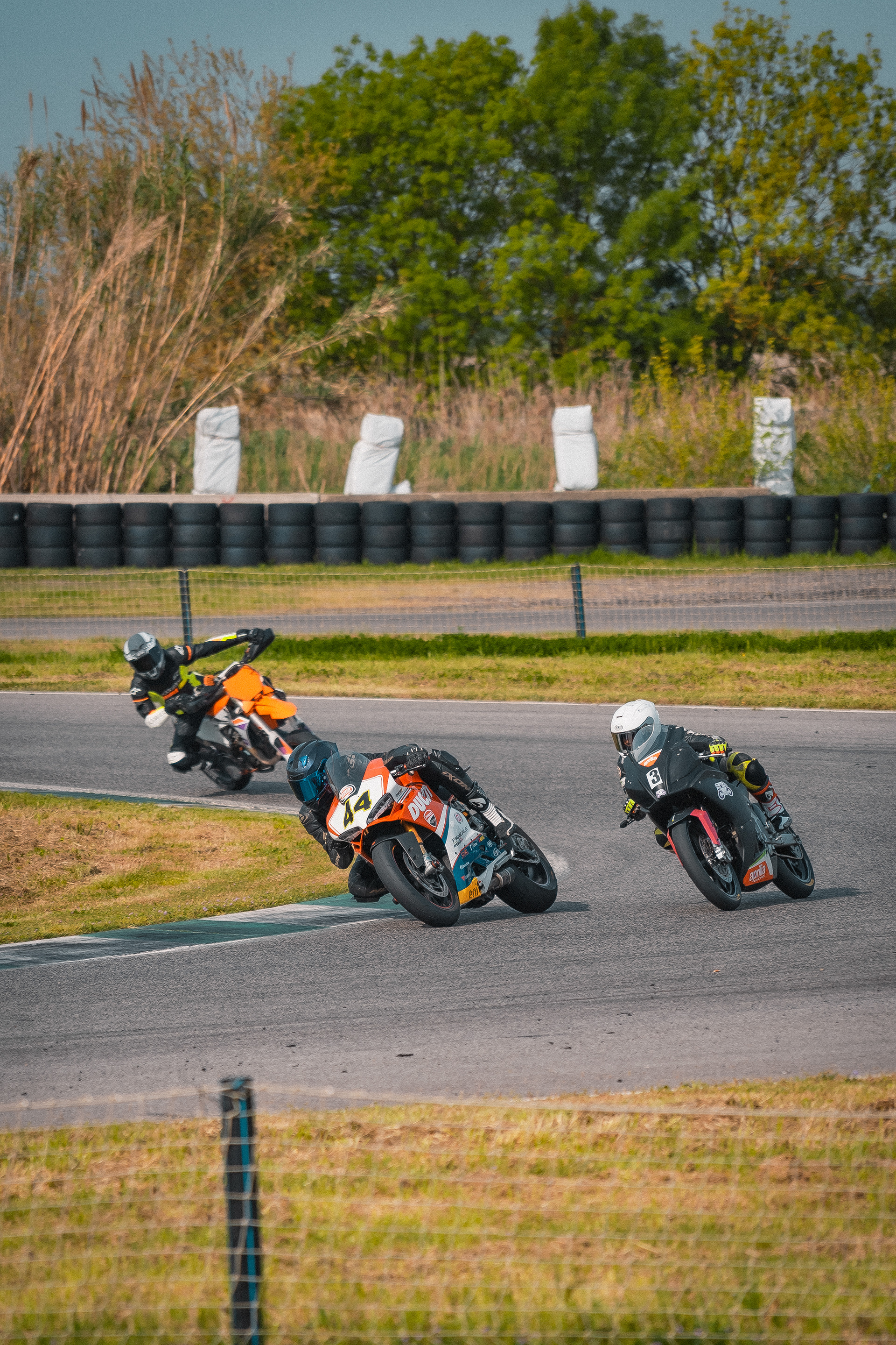 Circuito di Pomposa