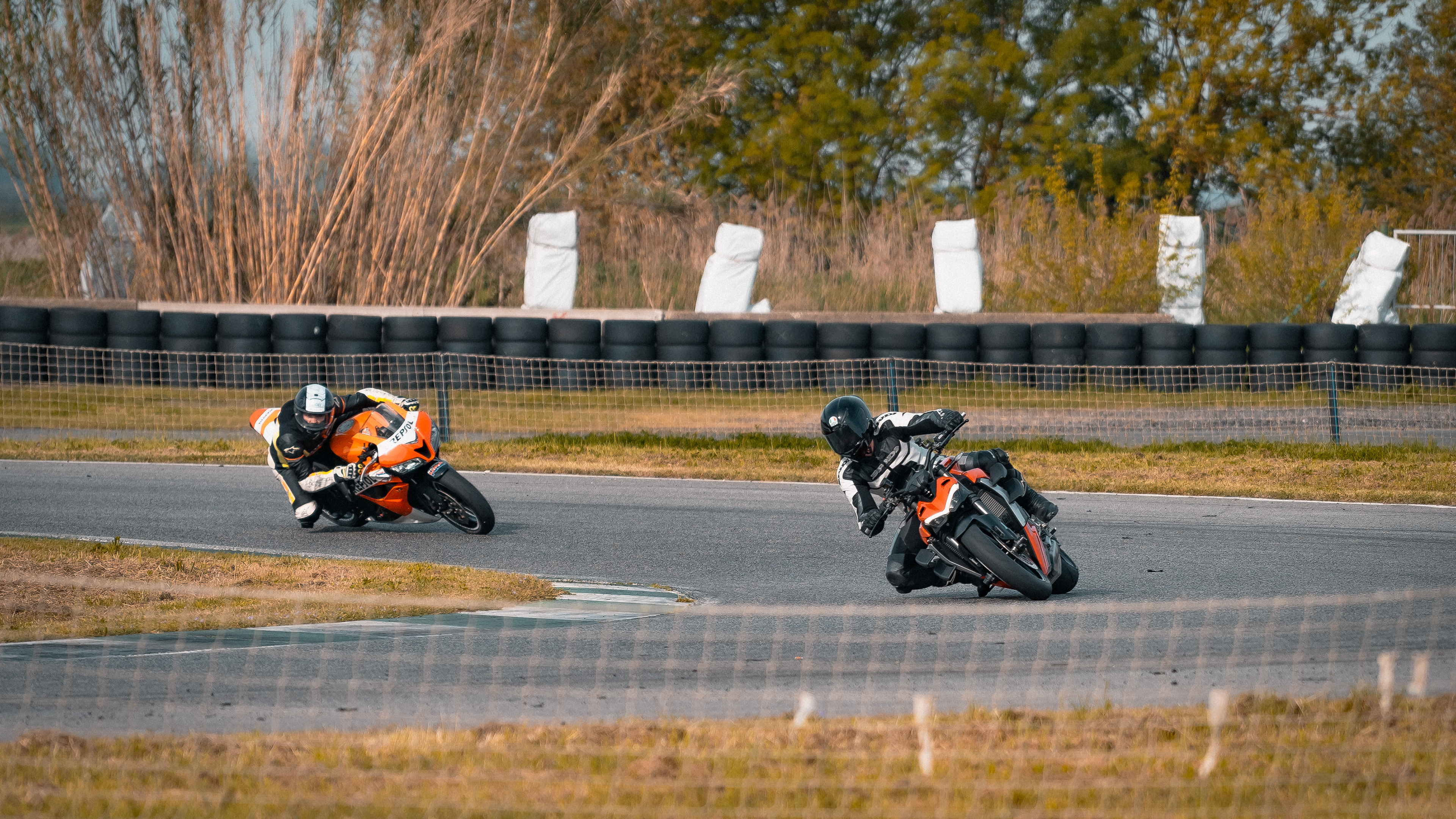 Circuito di Pomposa