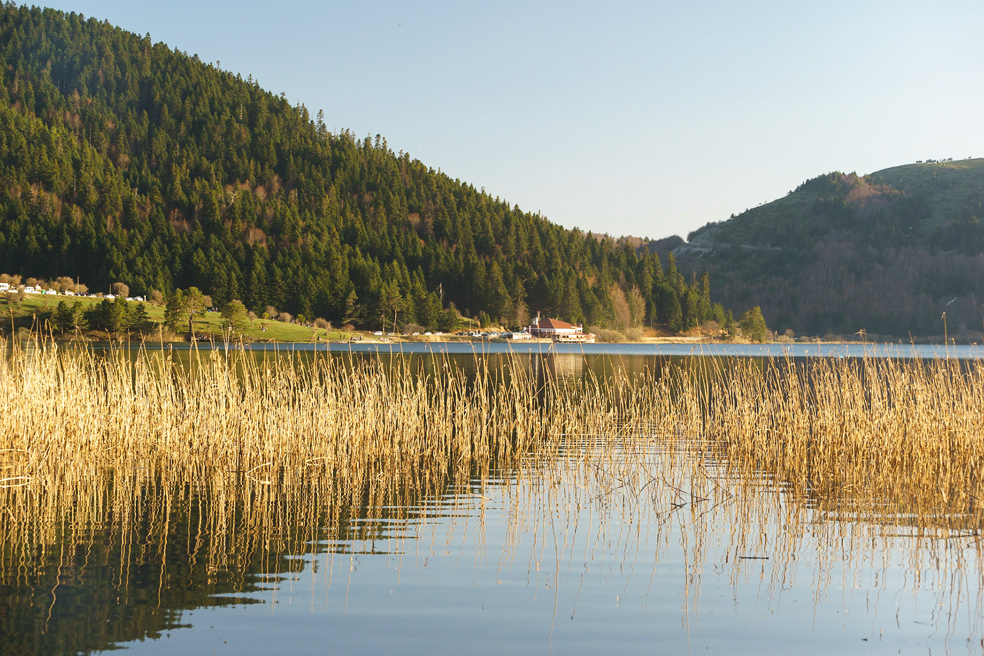 Güneşin batışından hemen önce Abant Gölü'nü altın sarısı renge boyandığı bir manzara.