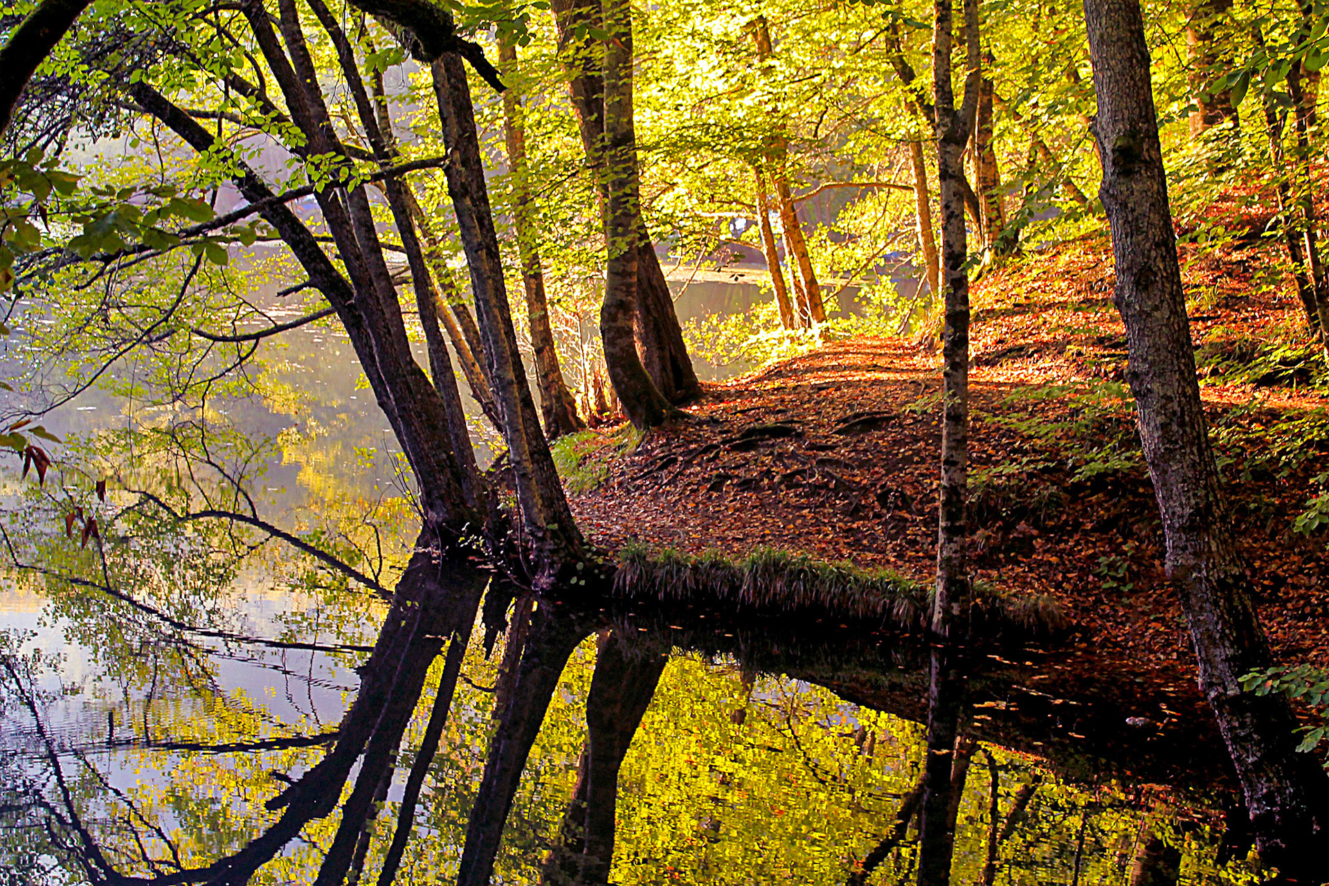 Yedigöller bölgesinde bulunan İncegöl'de, sonbahar renkleriyle süslü ağaçlar, suya doğru uzanarak havada duran bir kara parçası görüntüsü oluşturmuş.

Yedigöller Milli Parkı'nda, isminin belirttiği gibi aslında yedi değil, göllerden birinin kurumuş olması nedeniyle altı adet göl bulunmaktadır.