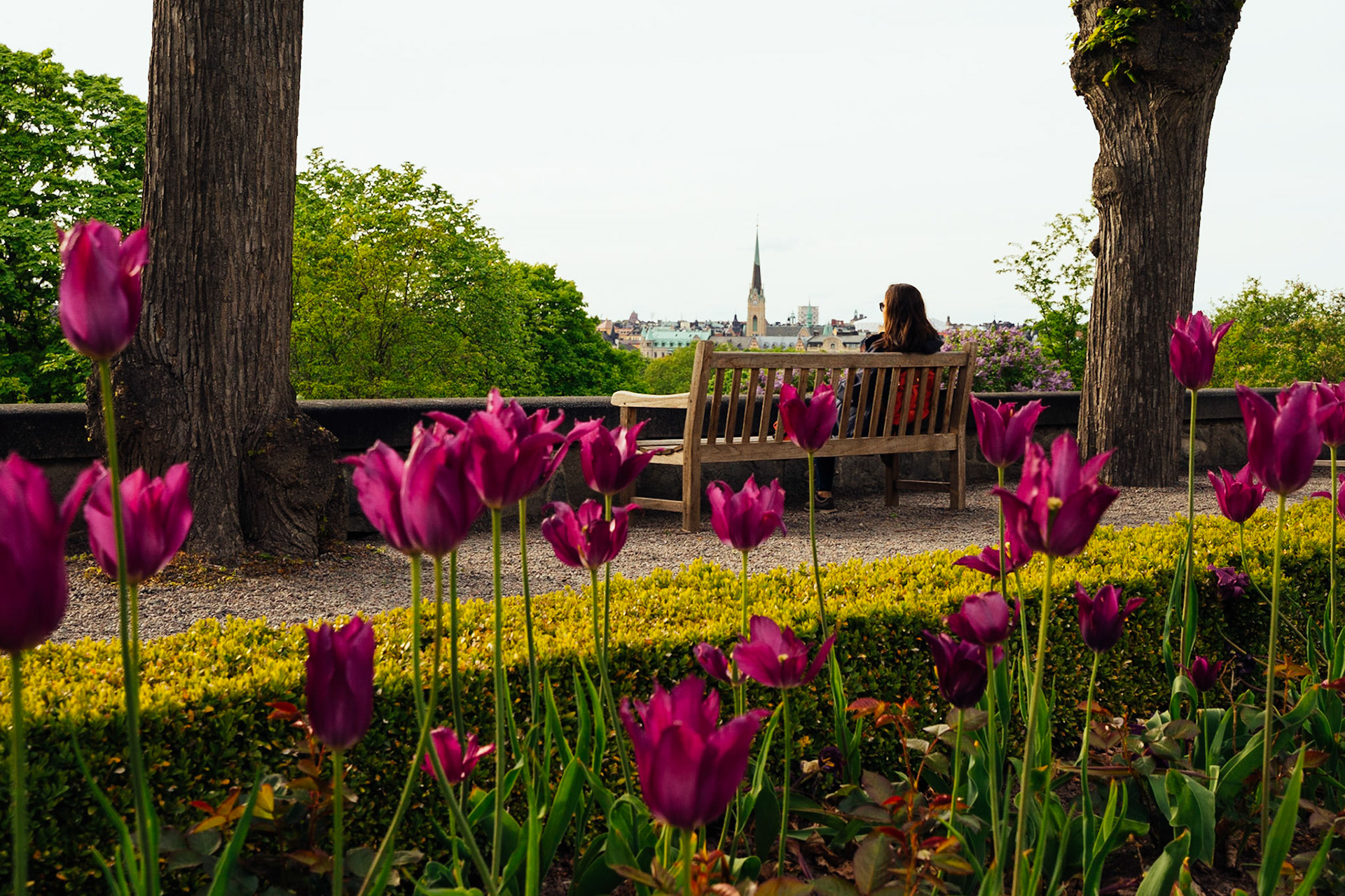 Skansen'deki gül bahçesinde, Stokholm manzarası eşliğinde kısa bir mola.