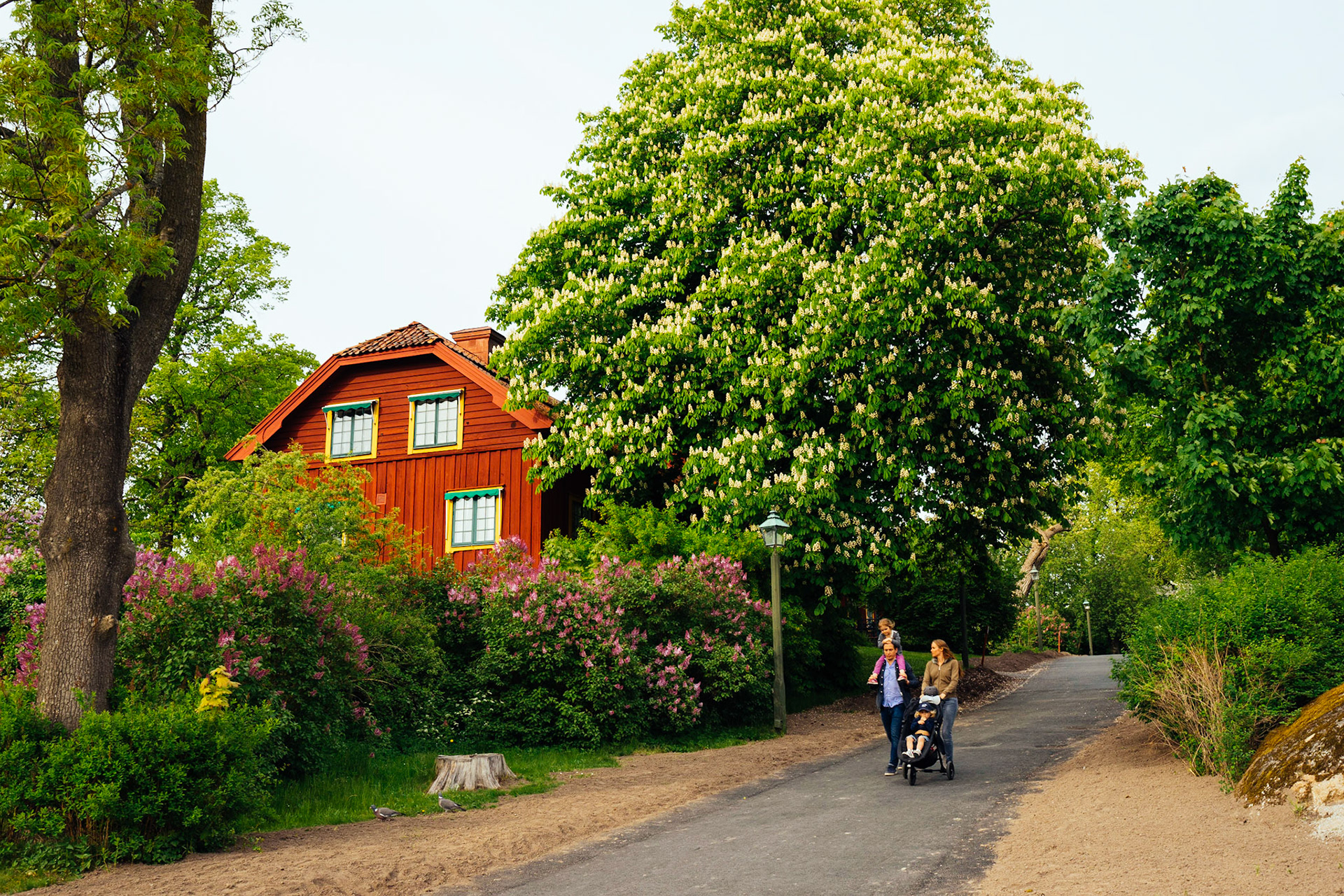 Skansen, bir açıkhava tarih müzesi olmasının yanısıra, aynı zamanda Stokholm'ün en büyük parkı; çocuklu aileler için de hayvanat bahçesi gibi diğer eğlenceler bulmak mümkün.