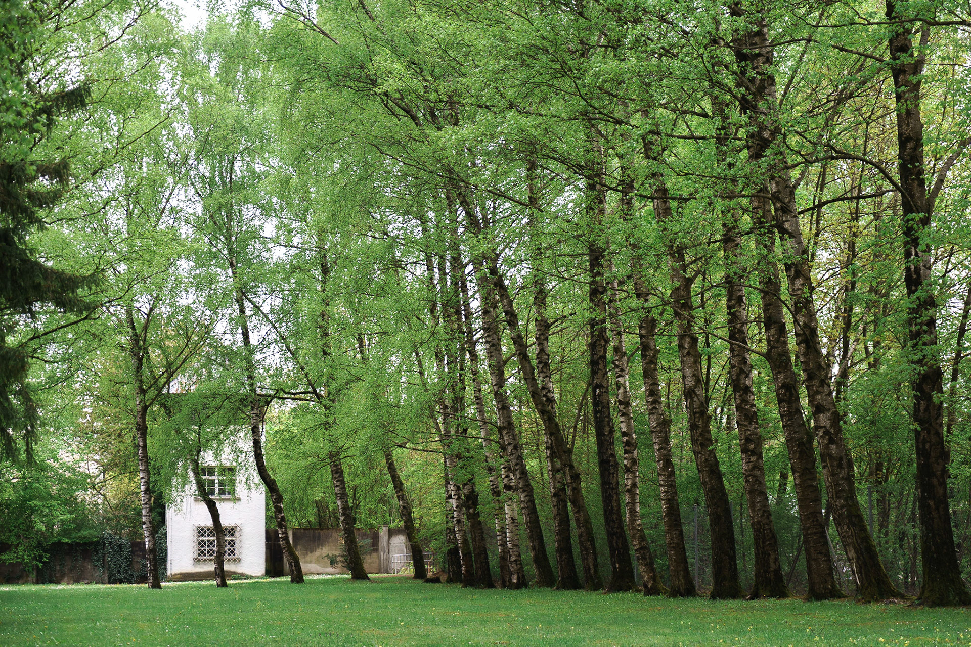 Münih şehir merkezinin hemen dışında bulunan Dachau toplama kampında "no man's land" olarak geçen bölüm.

Kampın gerisine kıyasla yemyeşil olan bu alana giren kamp tutsakları, arkadaki gözlem kulesinde yer alan askerler tarafından görüldükleri anda vuruluyorlardı.