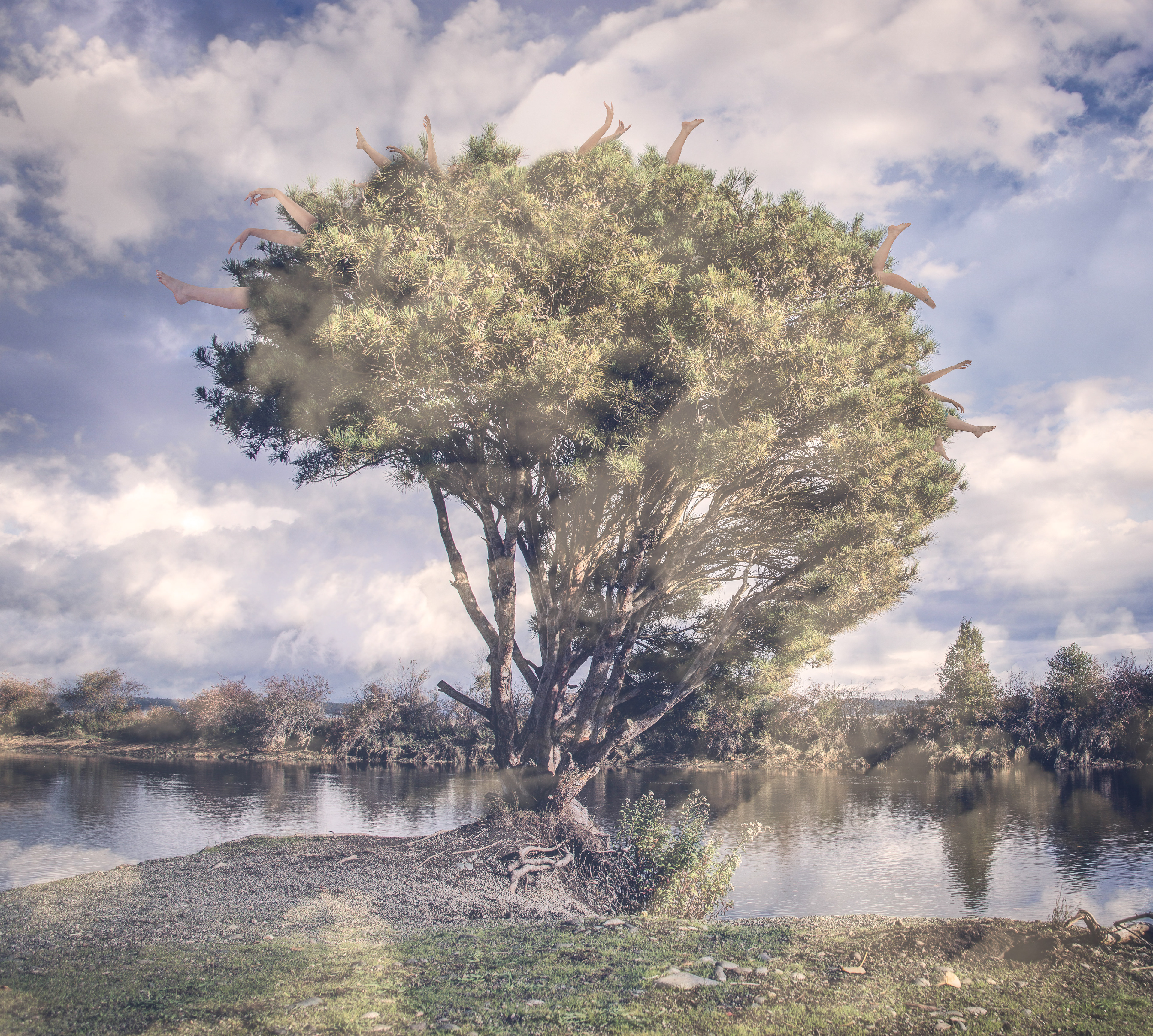 Hands Elbows Knees & Toes