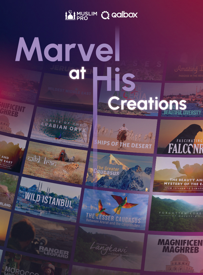 Showcasing a Robust Collection of Documentaries