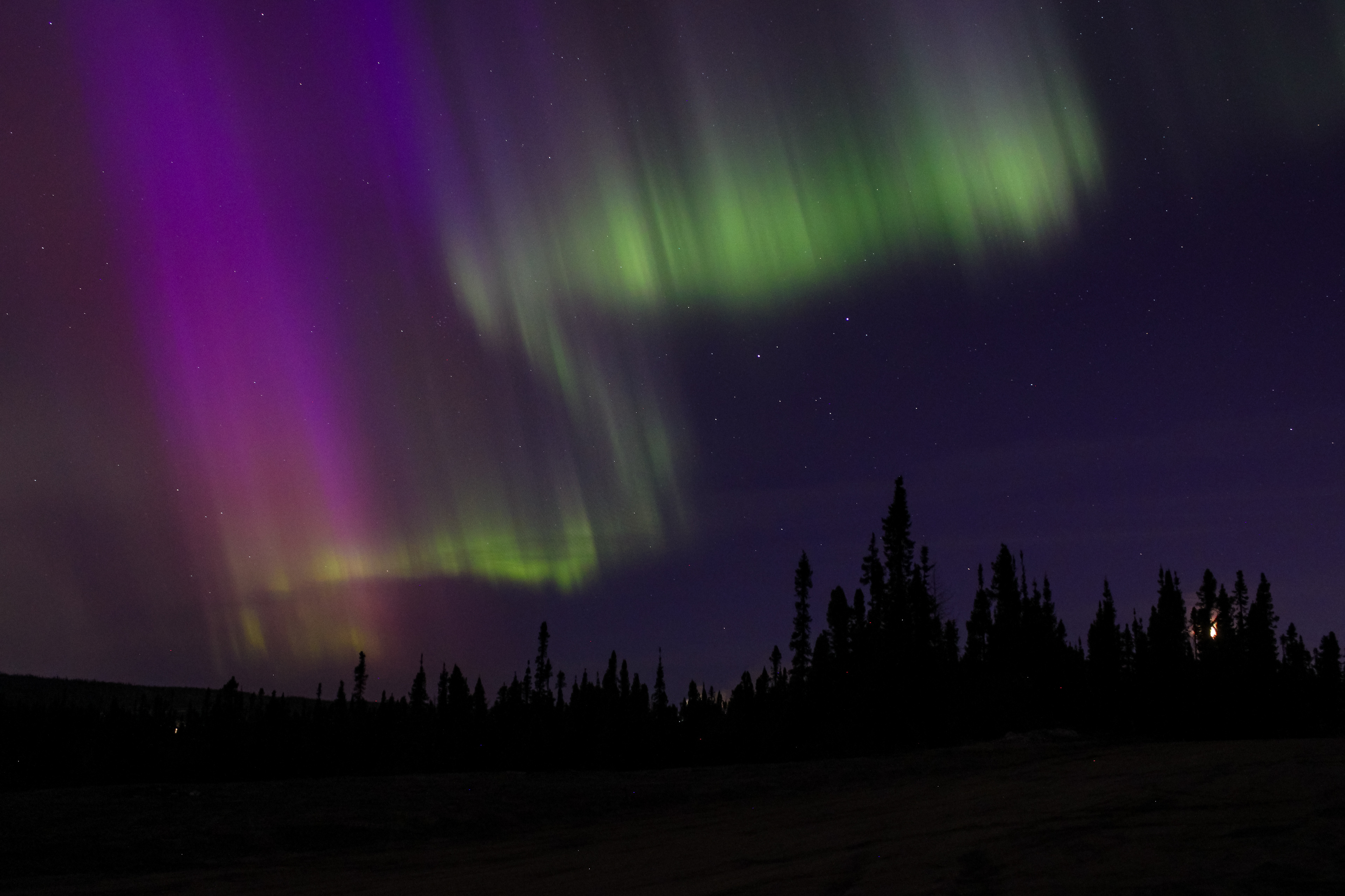 Wabush, NL