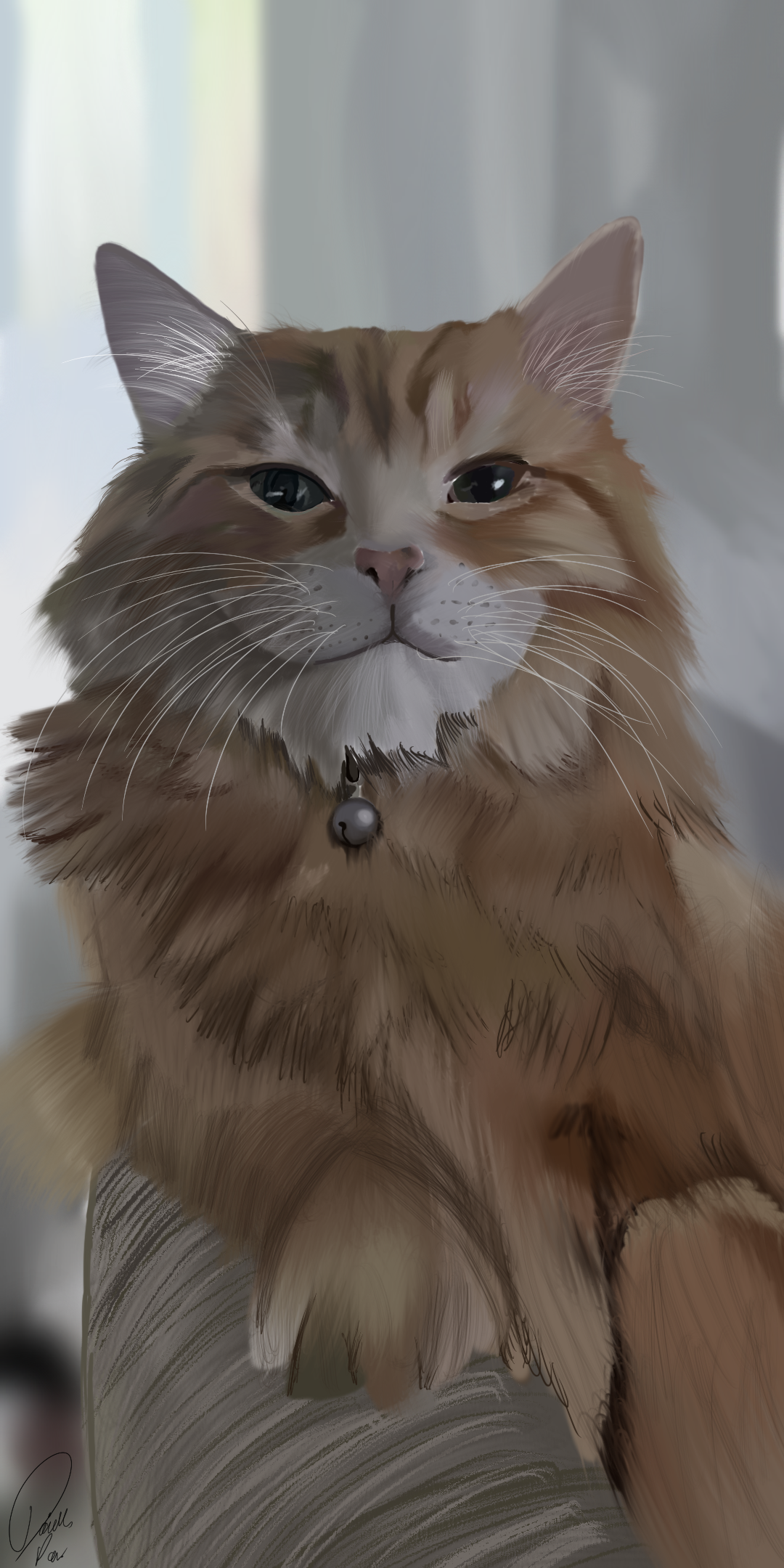 Memorial portrait of a friends cat