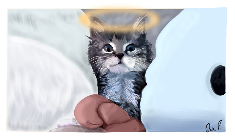 Memorial portrait of a friends cat