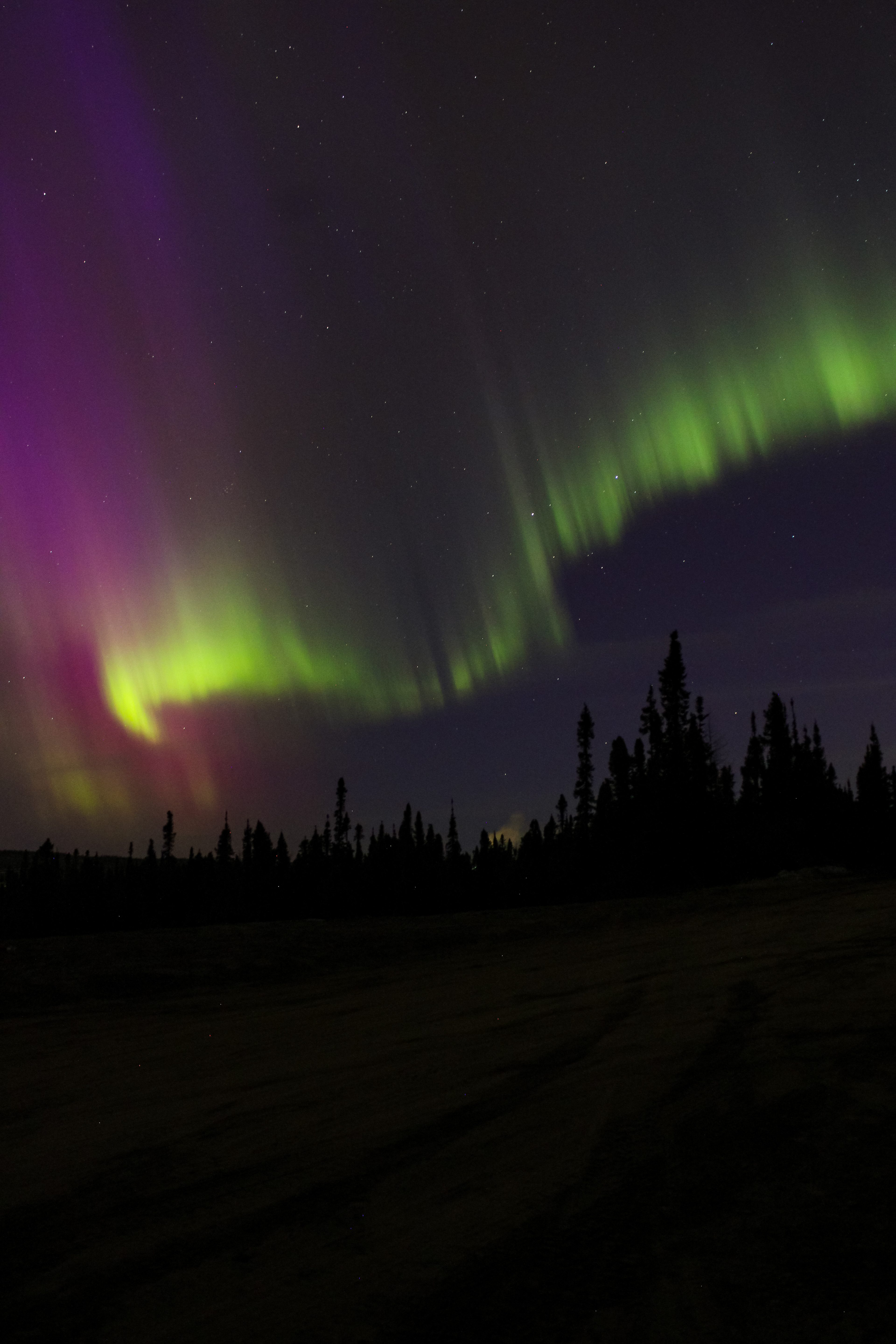 Wabush, NL