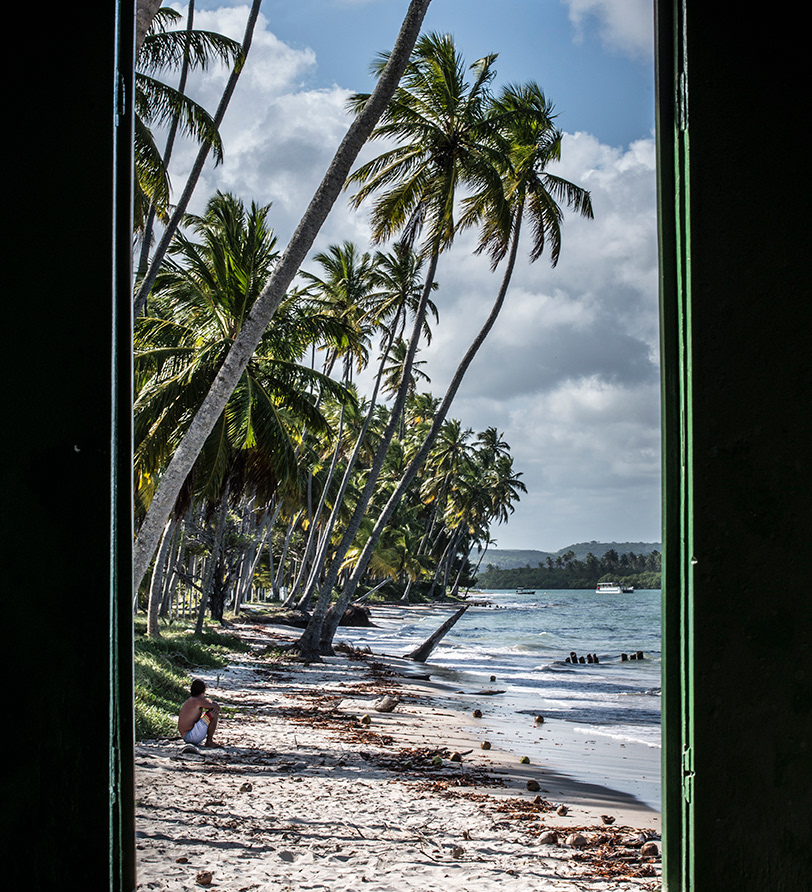 View