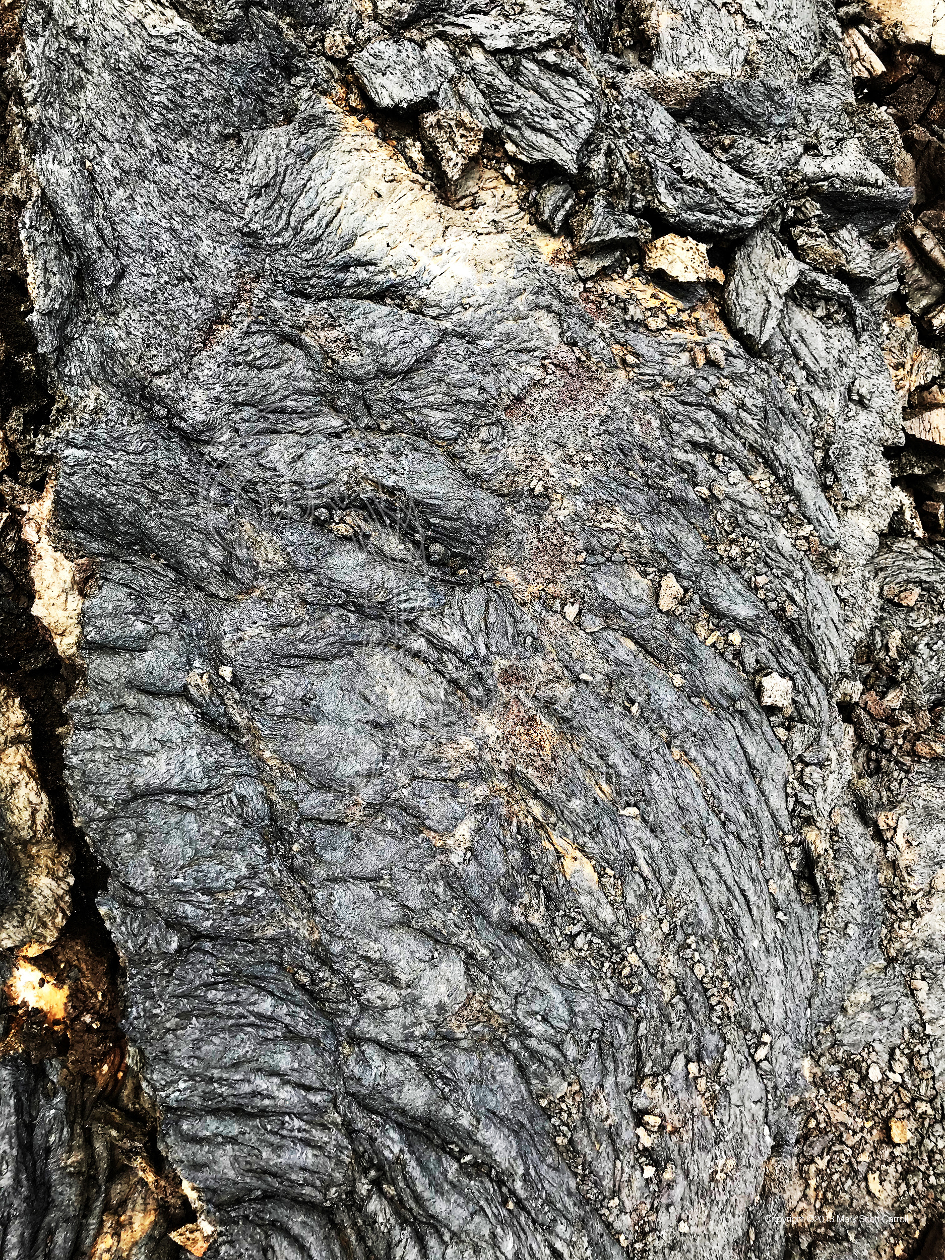 ls_folds_img_1331