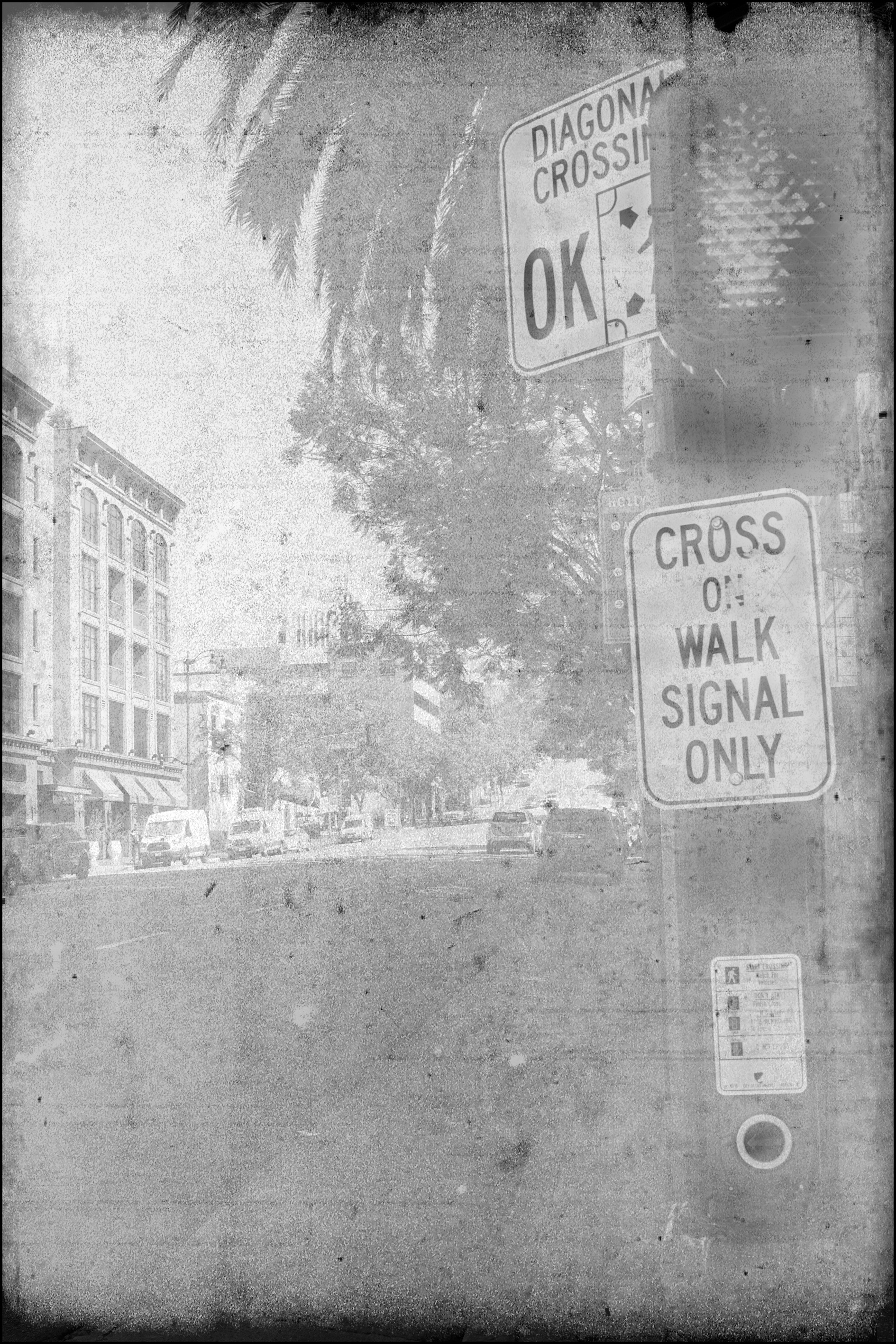 Copyright © Xavier Sanchez