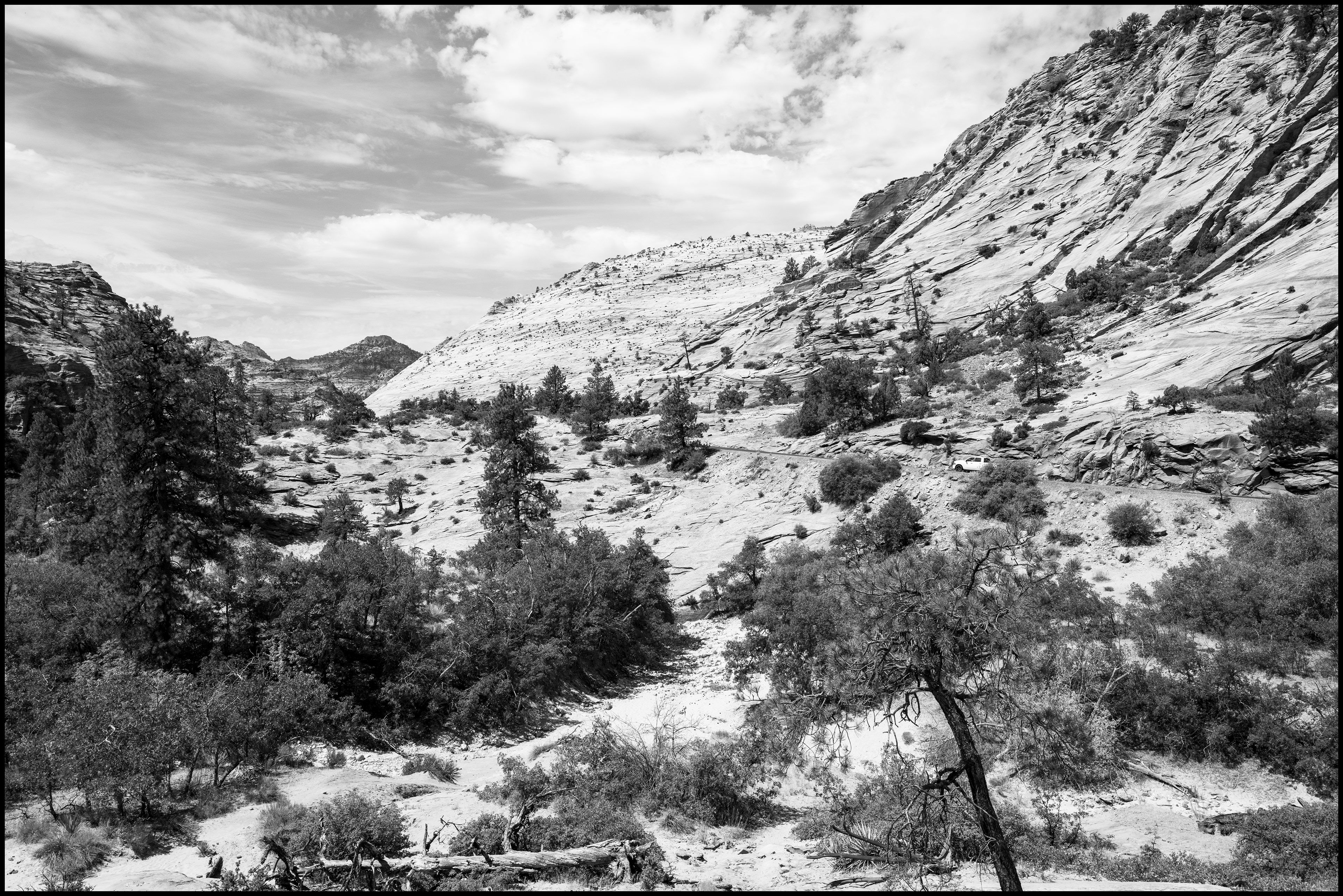 Road to Las Vegas Copyright © Xavier Sanchez