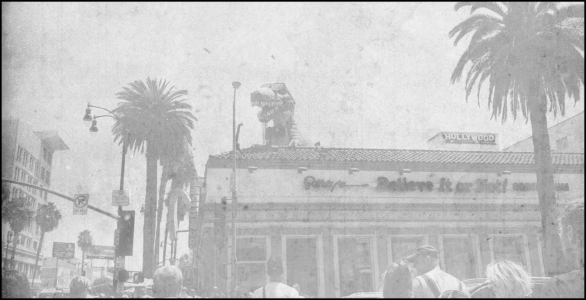 Copyright © Xavier Sanchez