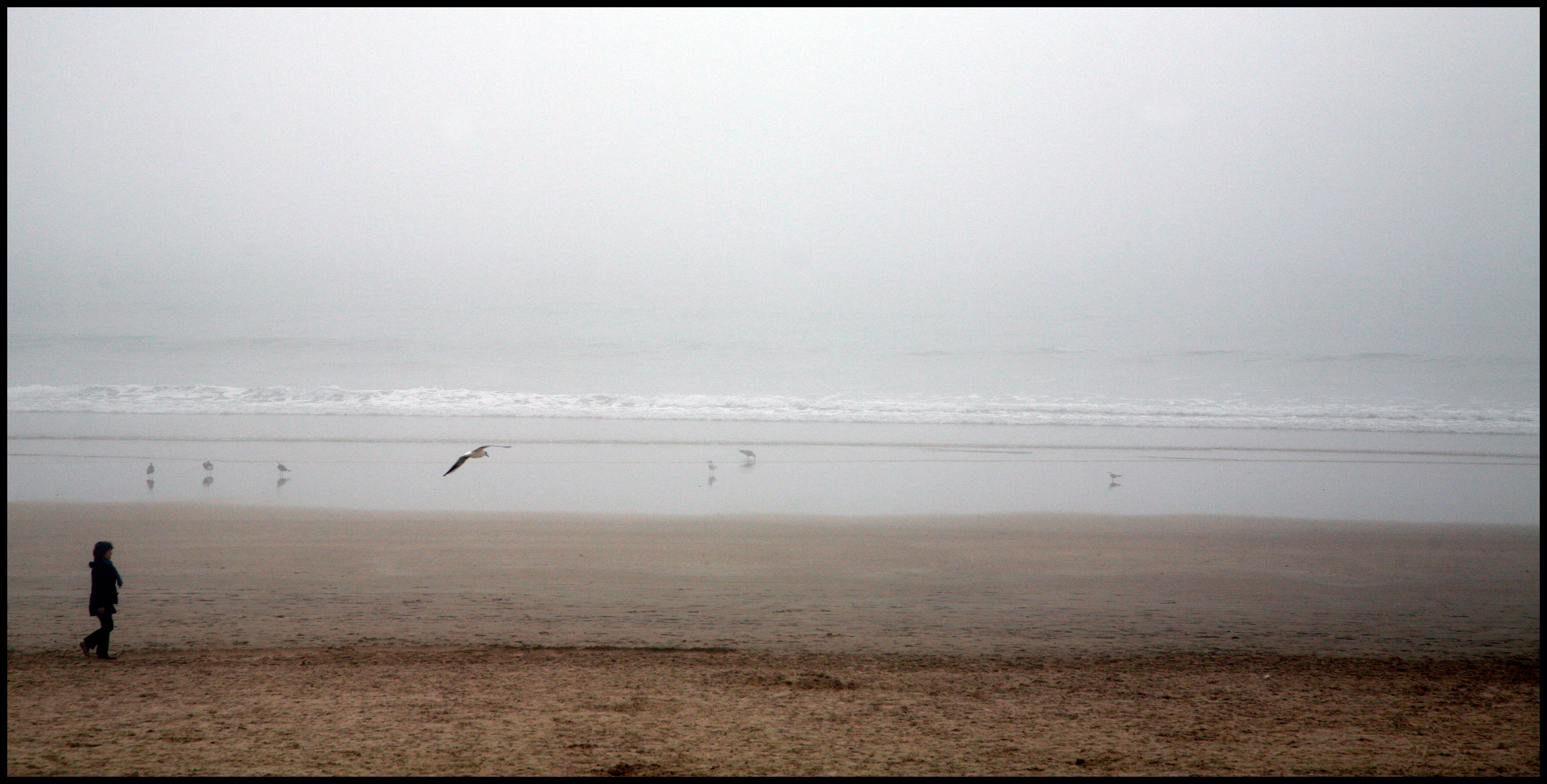 Copyright © Xavier Sanchez