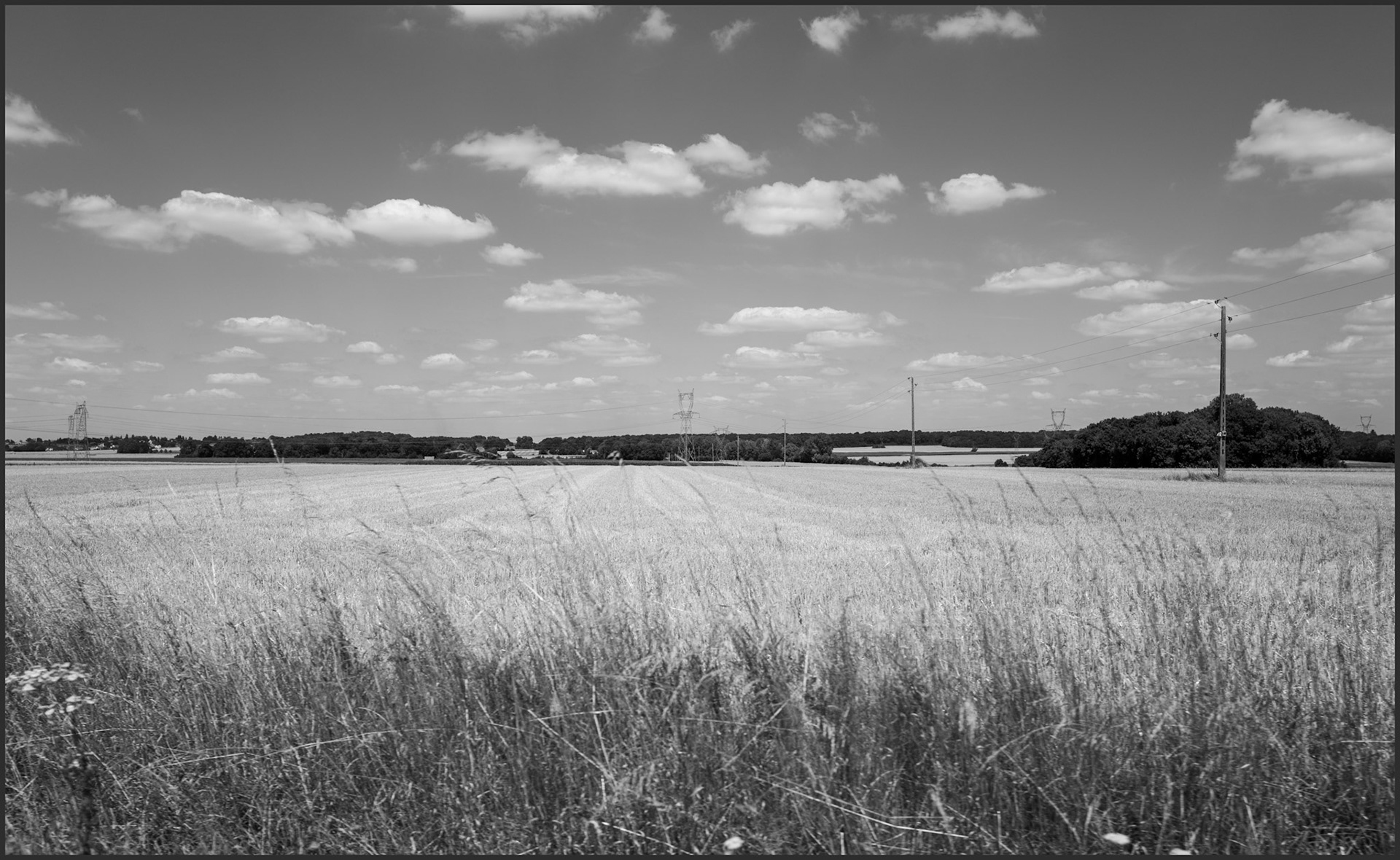 Copyright © Xavier Sanchez