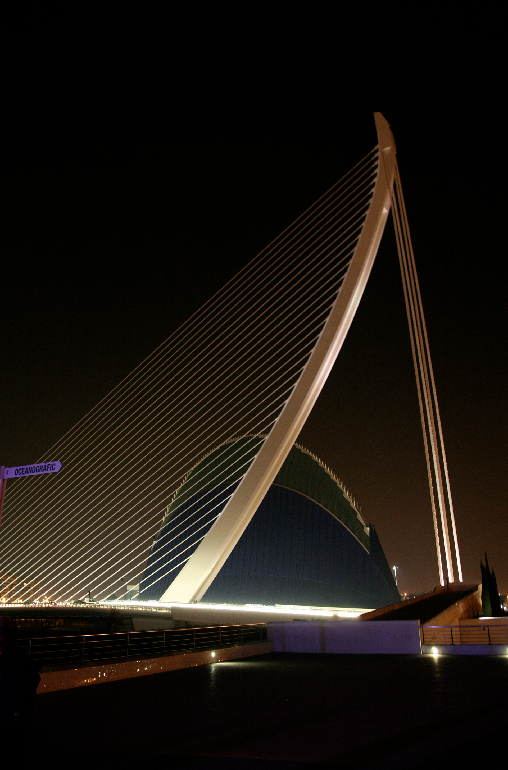 Copyright © Xavier Sanchez