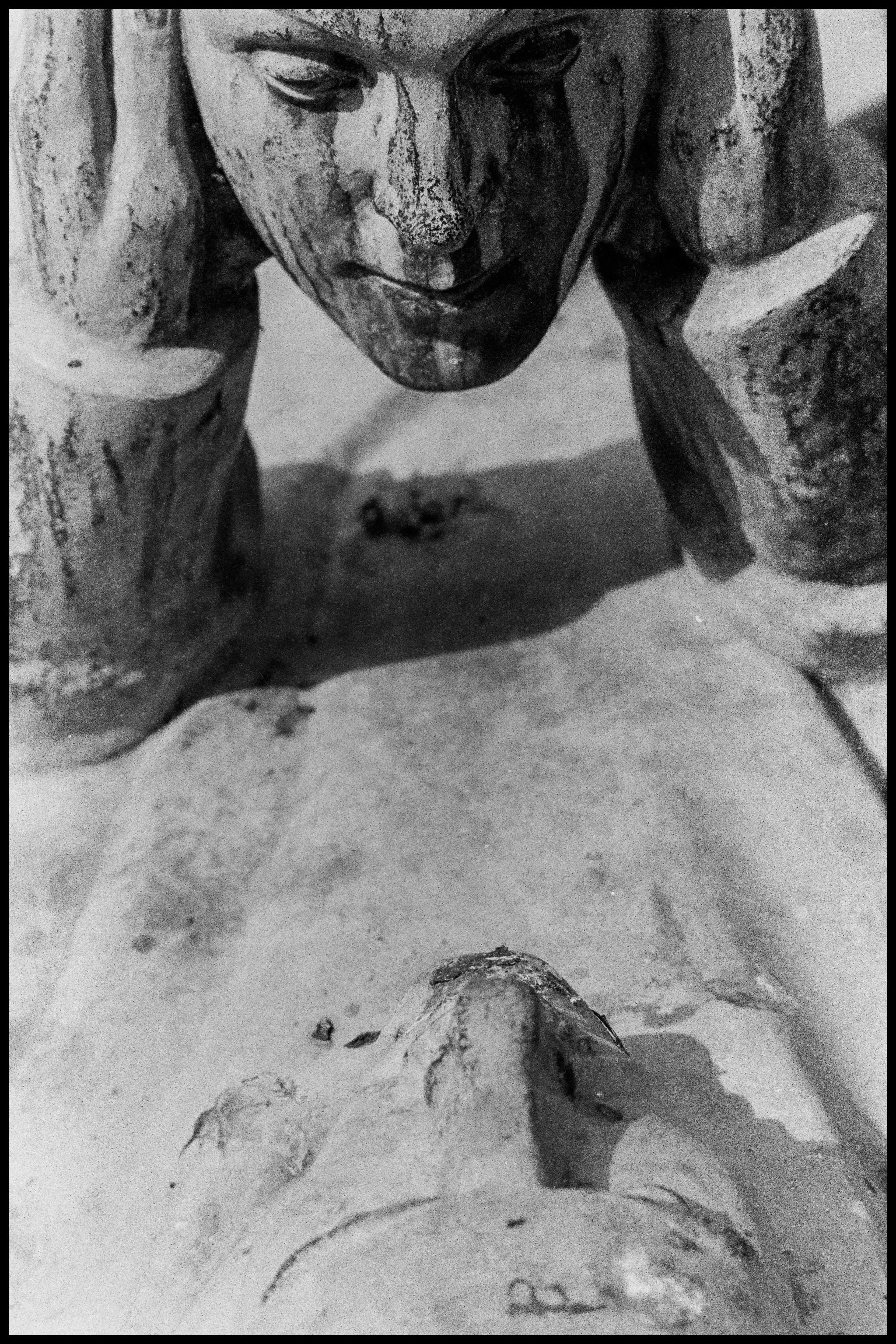 Copyright © Xavier Sanchez