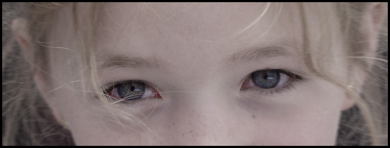 Copyright © Xavier Sanchez