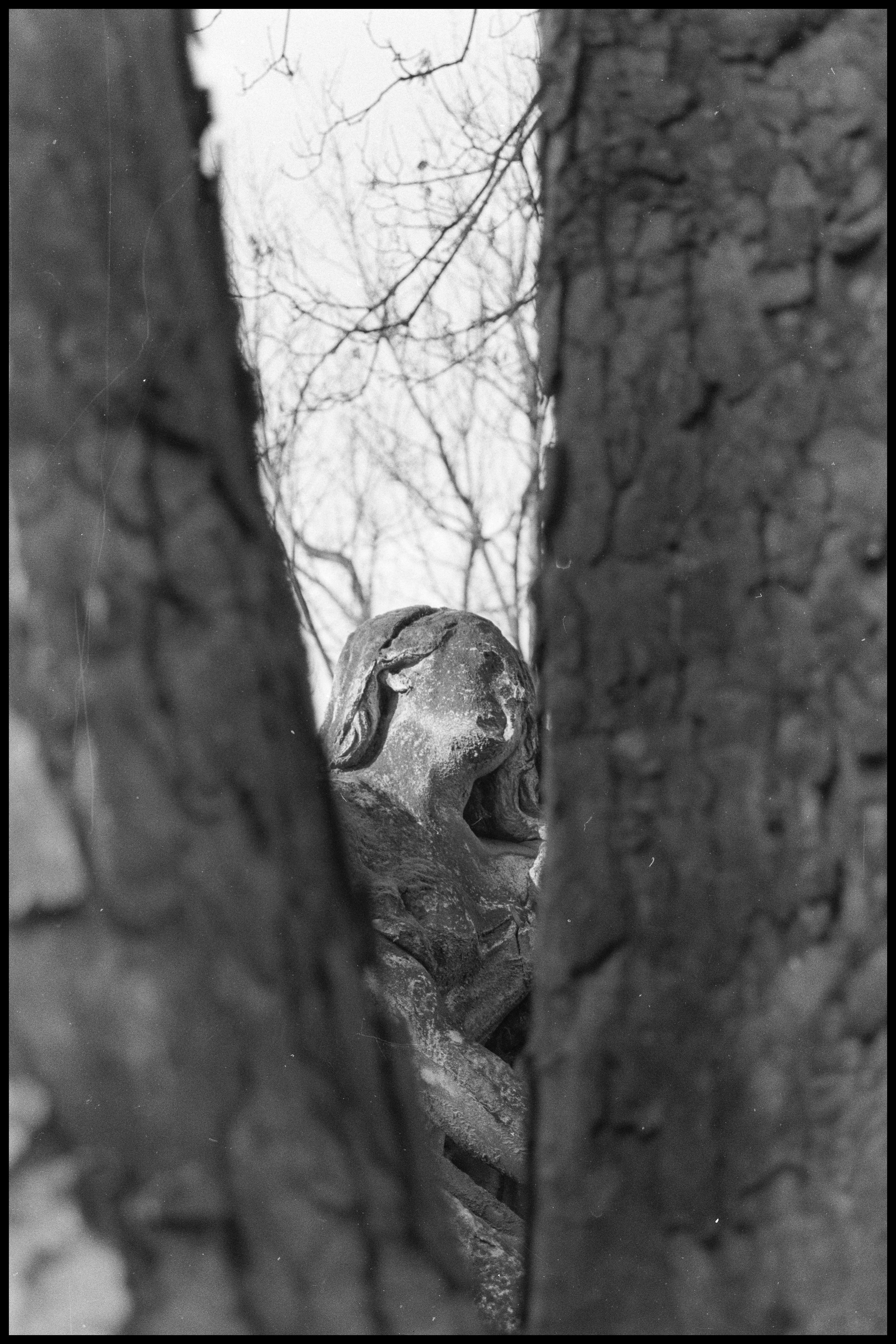 Copyright © Xavier Sanchez