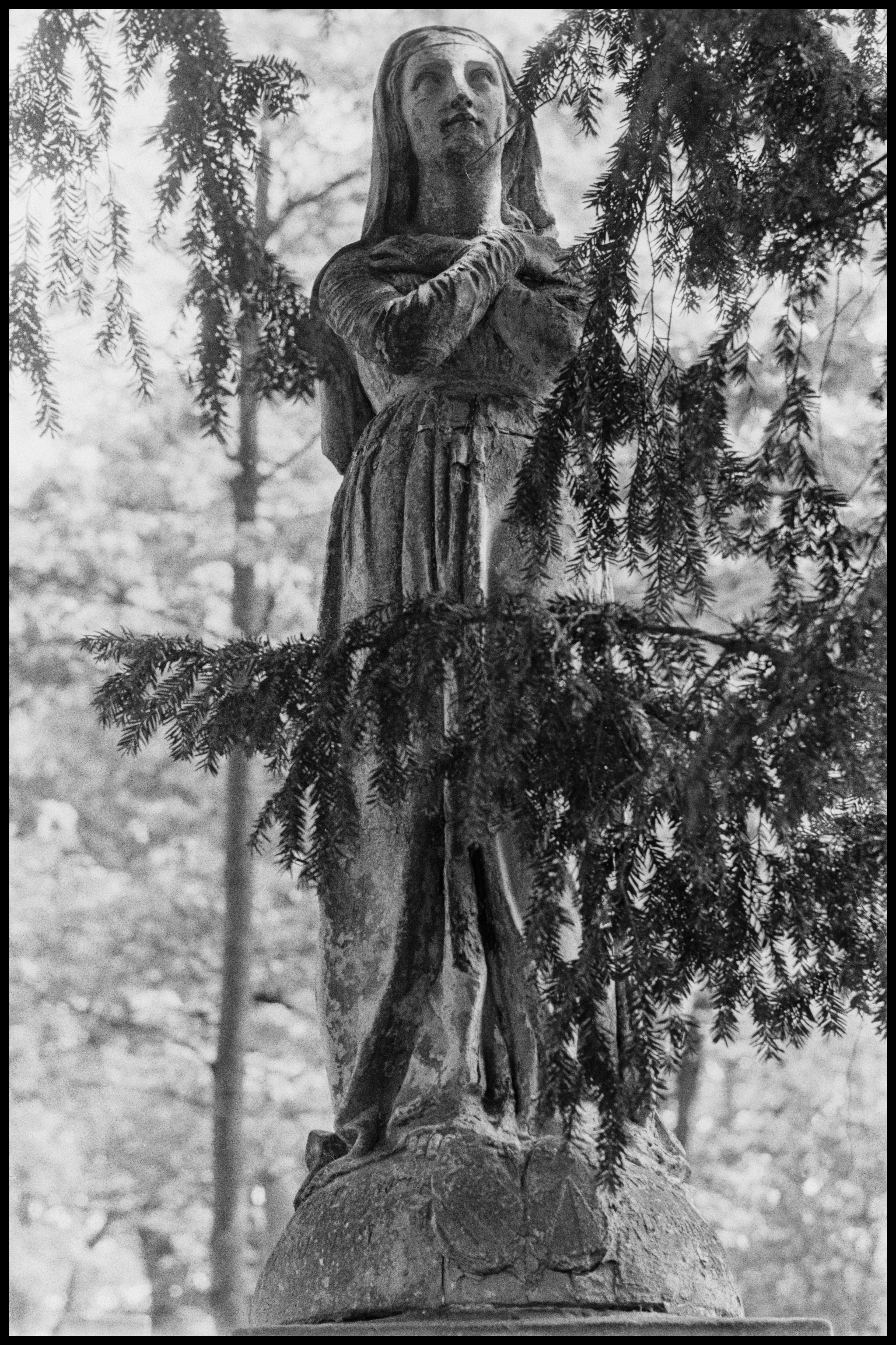 Copyright © Xavier Sanchez