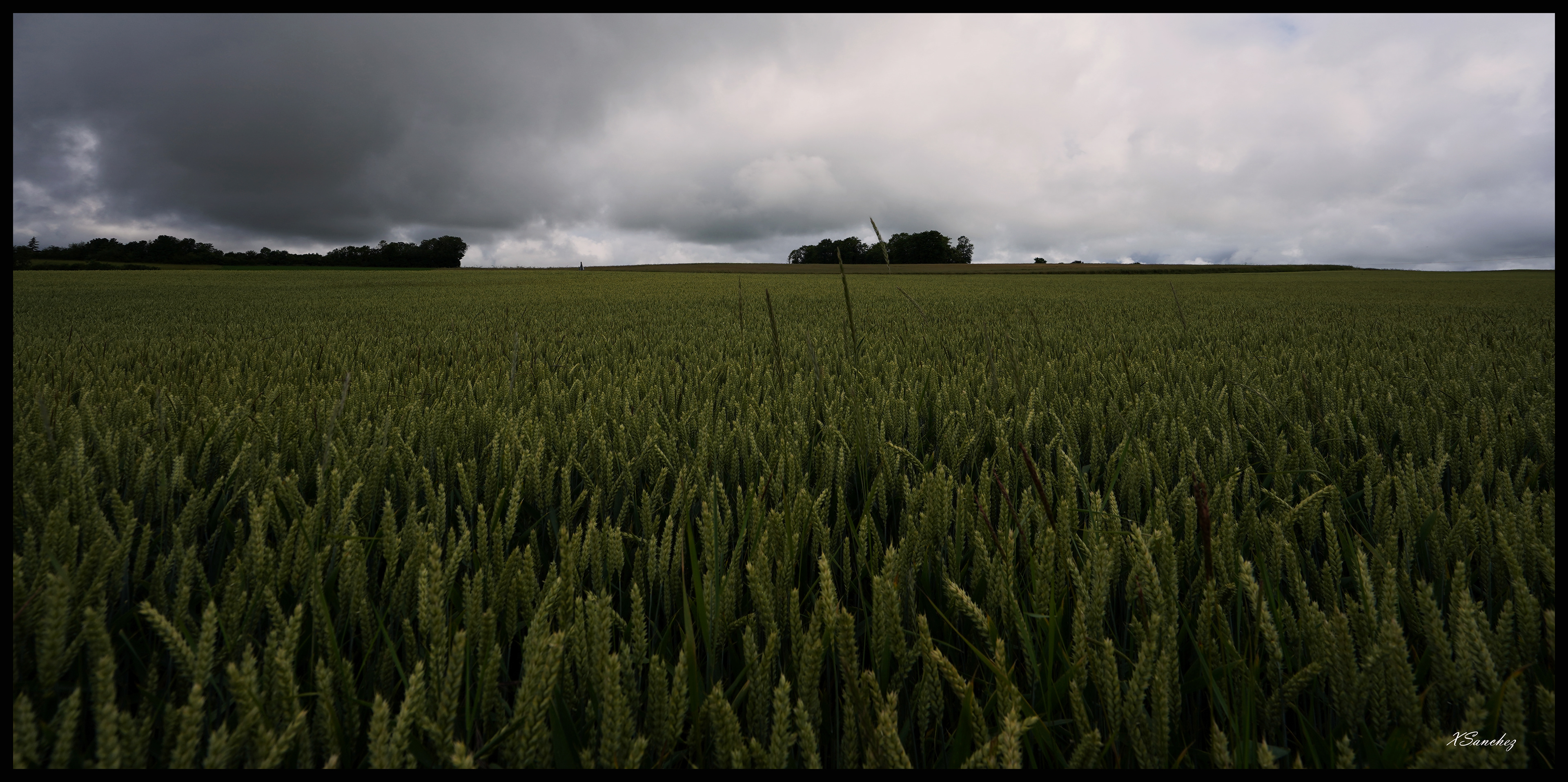 Copyright © Xavier Sanchez