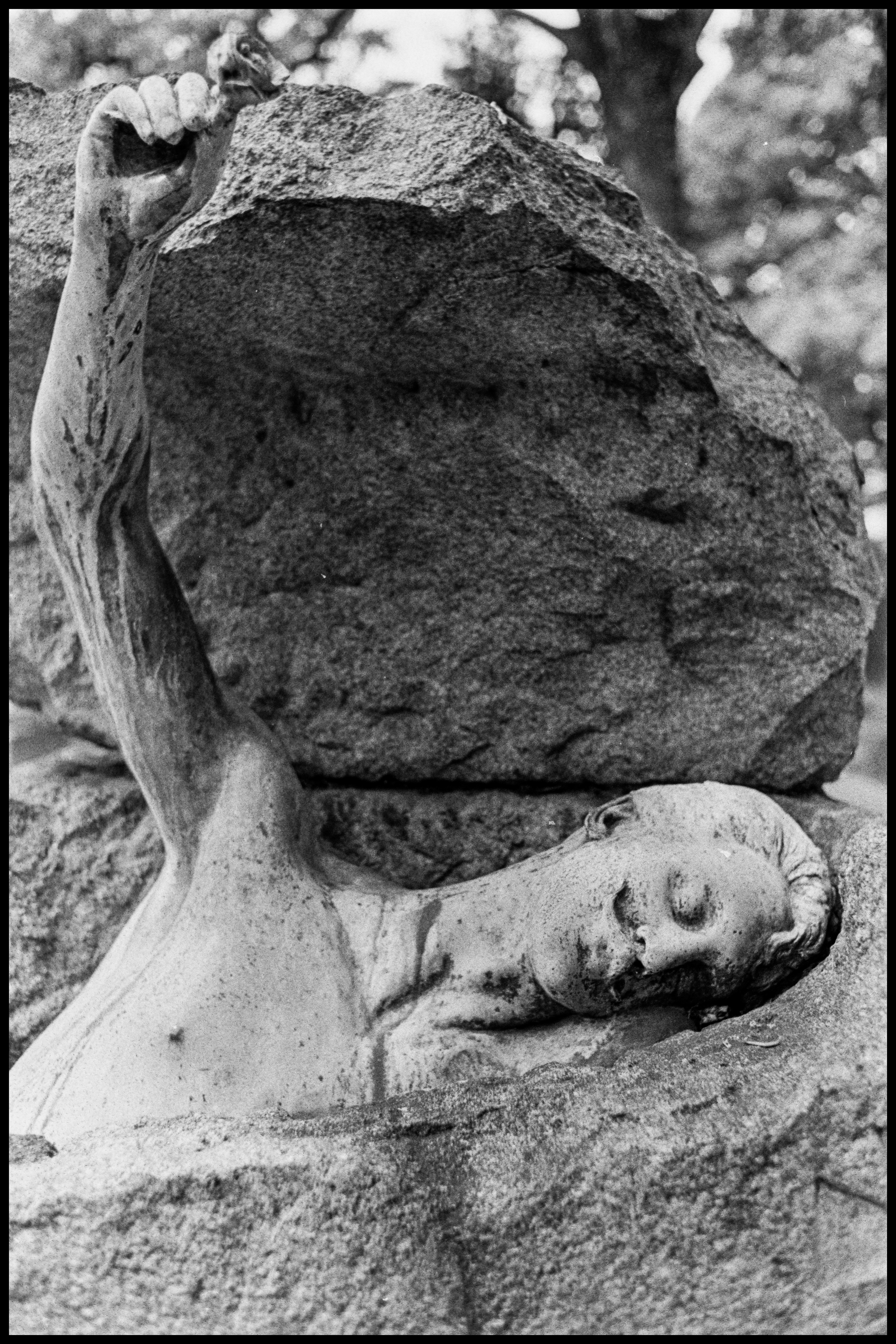 Copyright © Xavier Sanchez