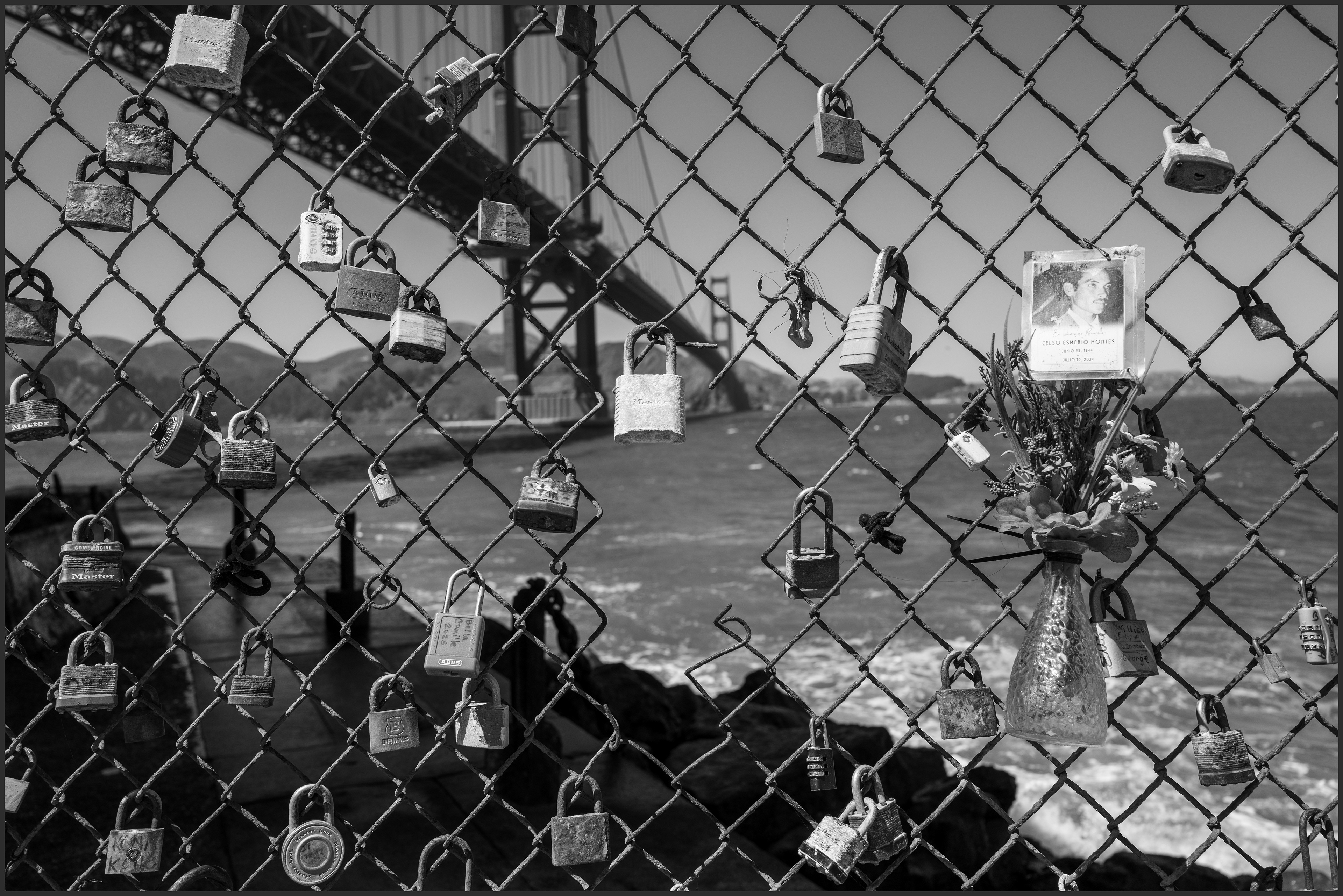 San Francisco Bridge Copyright © Xavier Sanchez