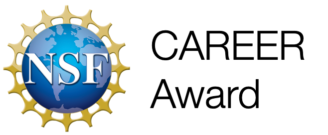 NSF CAREER Award