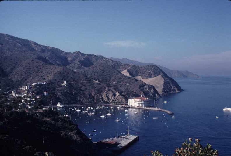 Michael's Baby Pictures