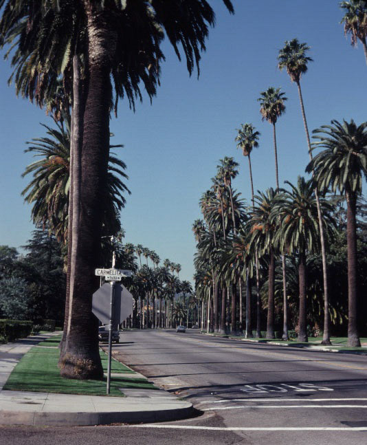 Michael's Baby Pictures