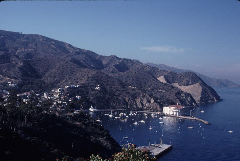 Michael's Baby Pictures