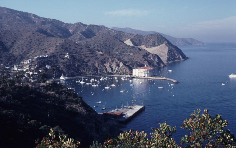 Michael's Baby Pictures