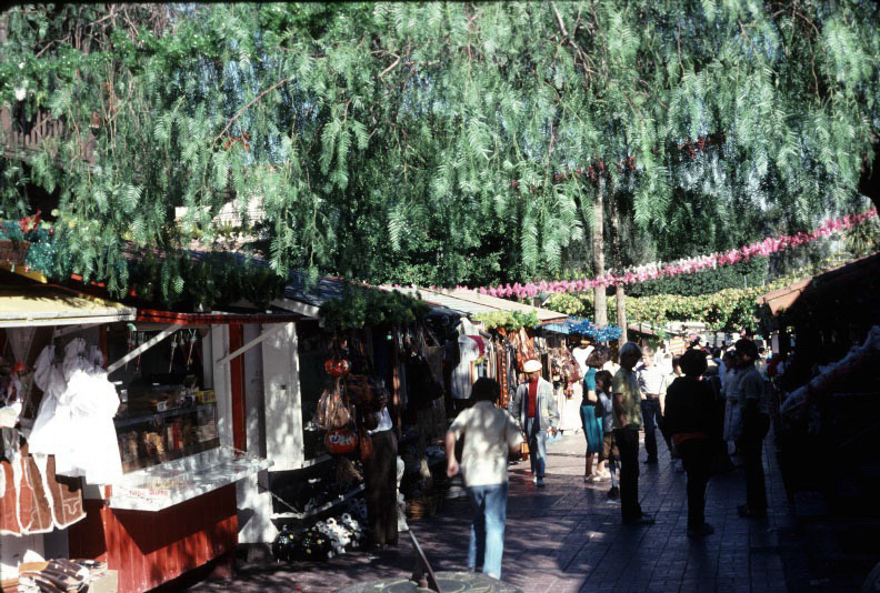 Michael's Baby Pictures