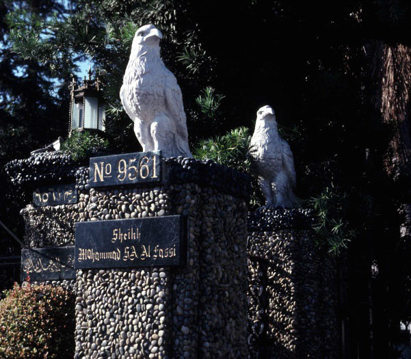 Michael's Baby Pictures