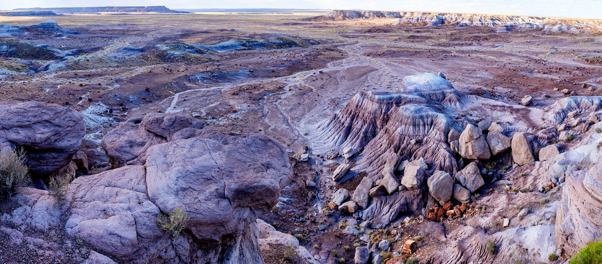 Jasper Forest in Petrified National Park