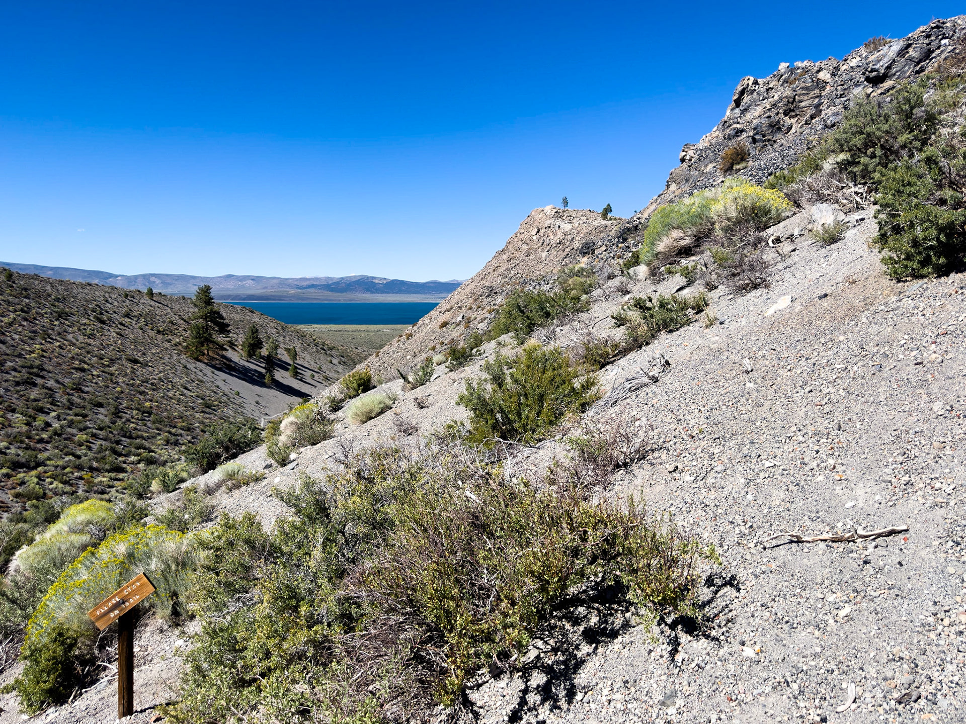 The trail to the top was a steep hike